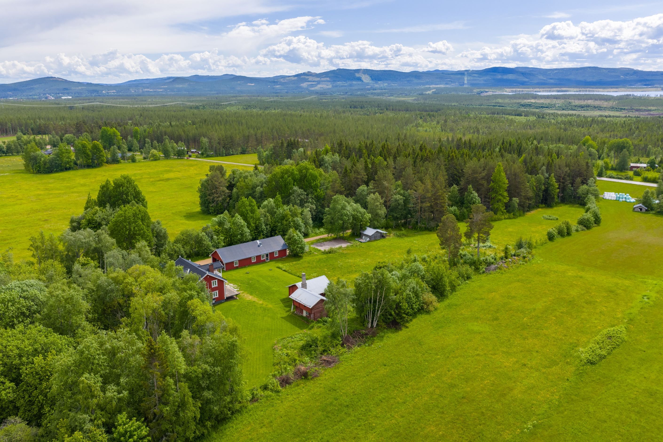 Bildkategori