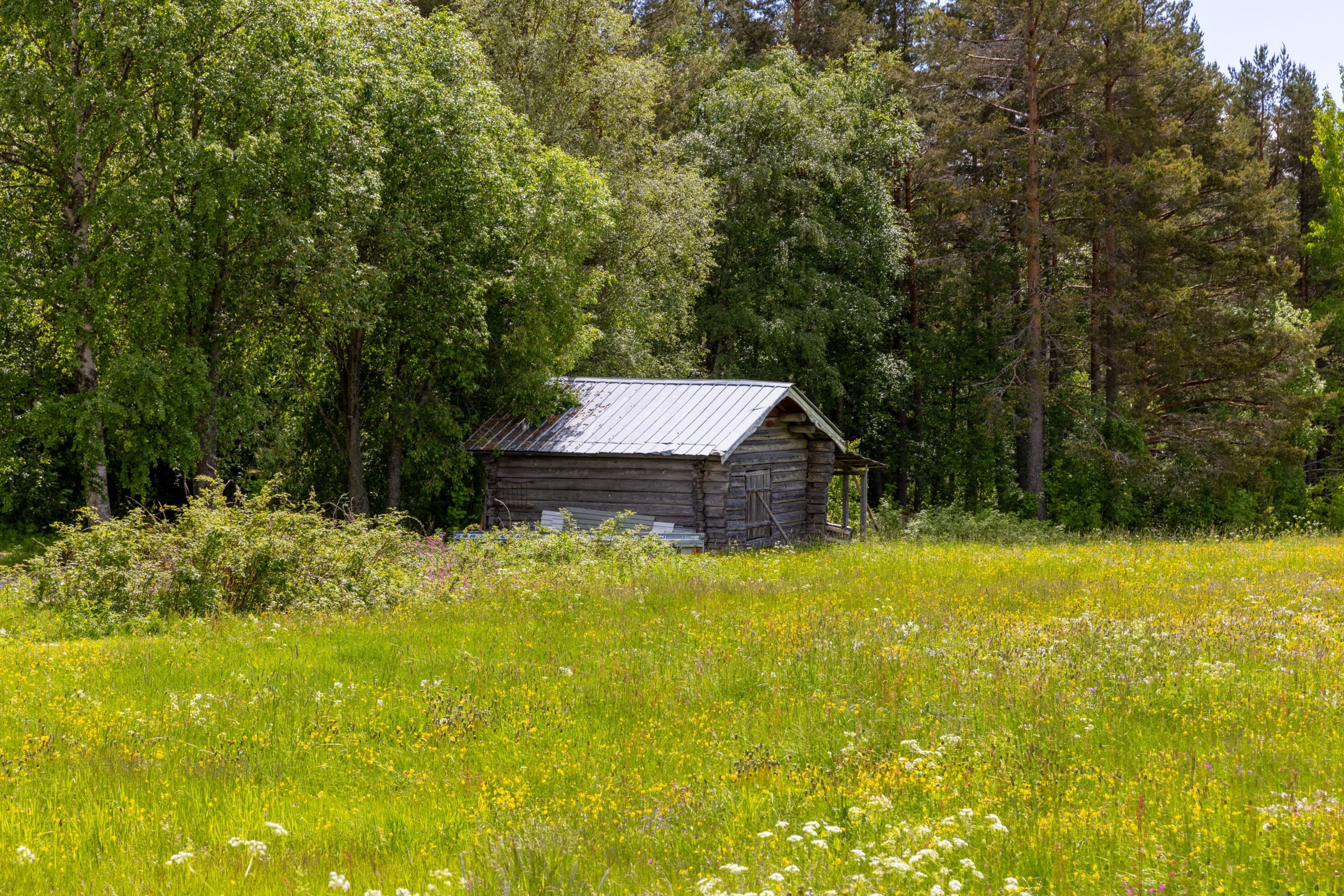 Bildkategori