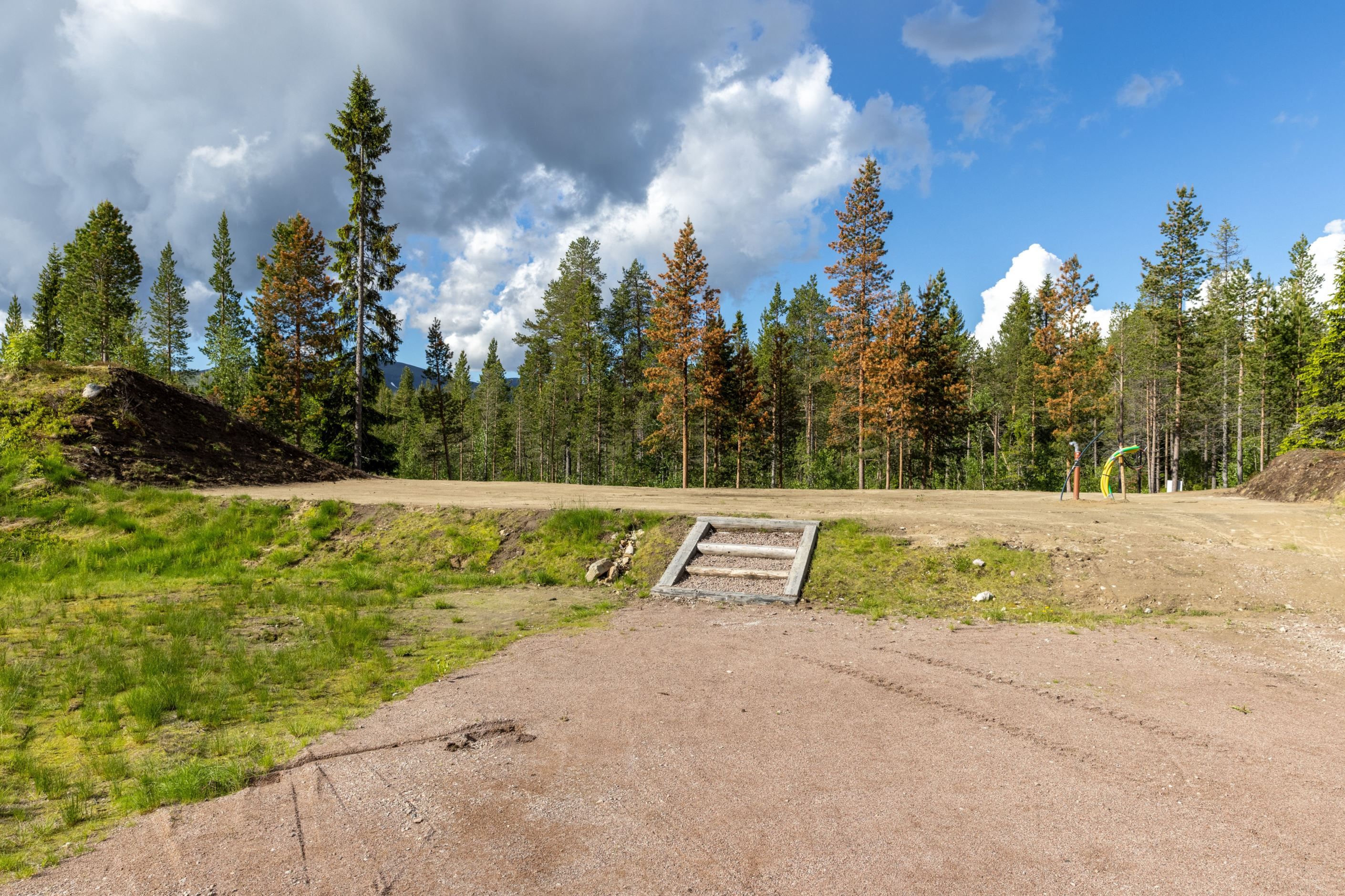 Bildkategori