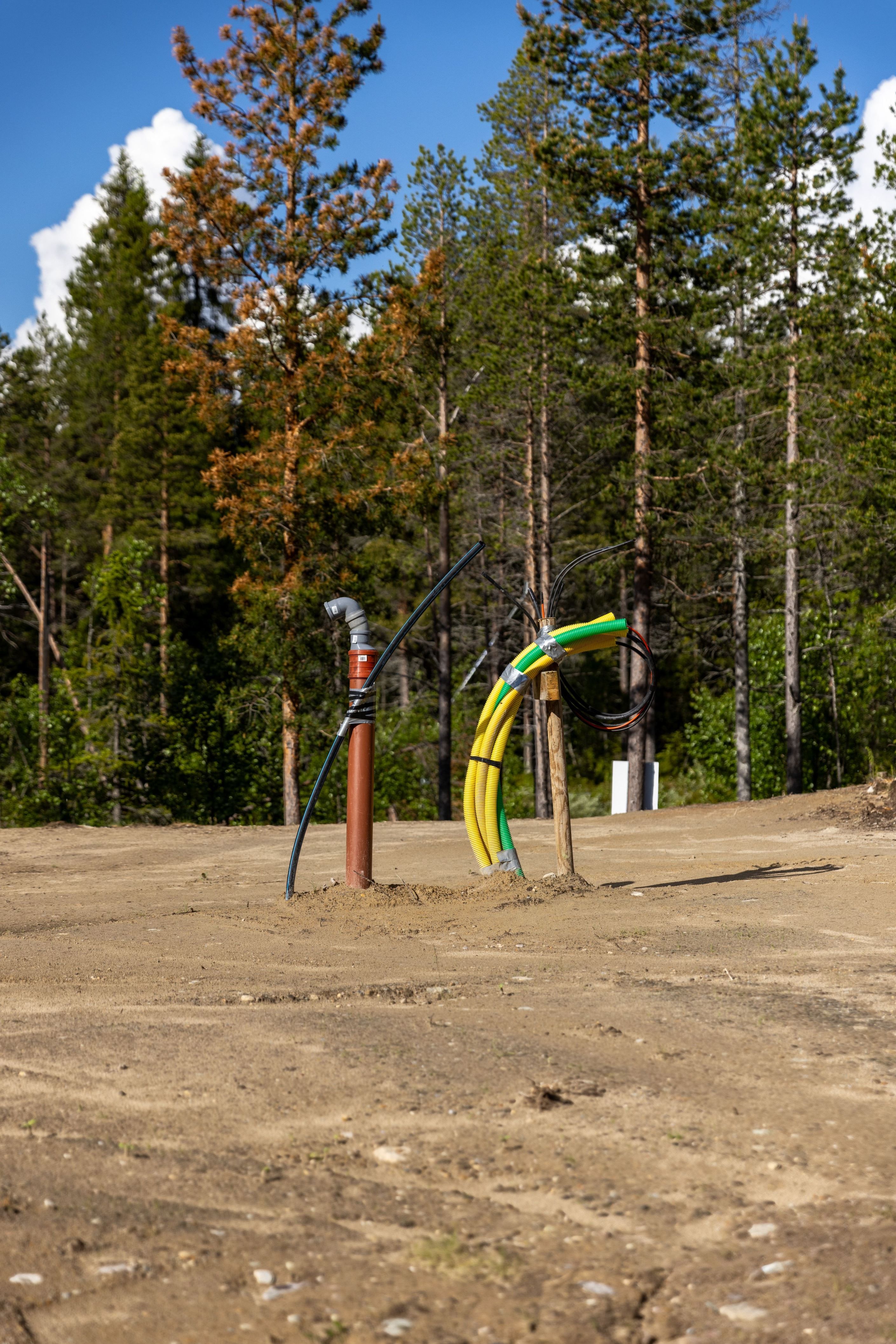 Bildkategori