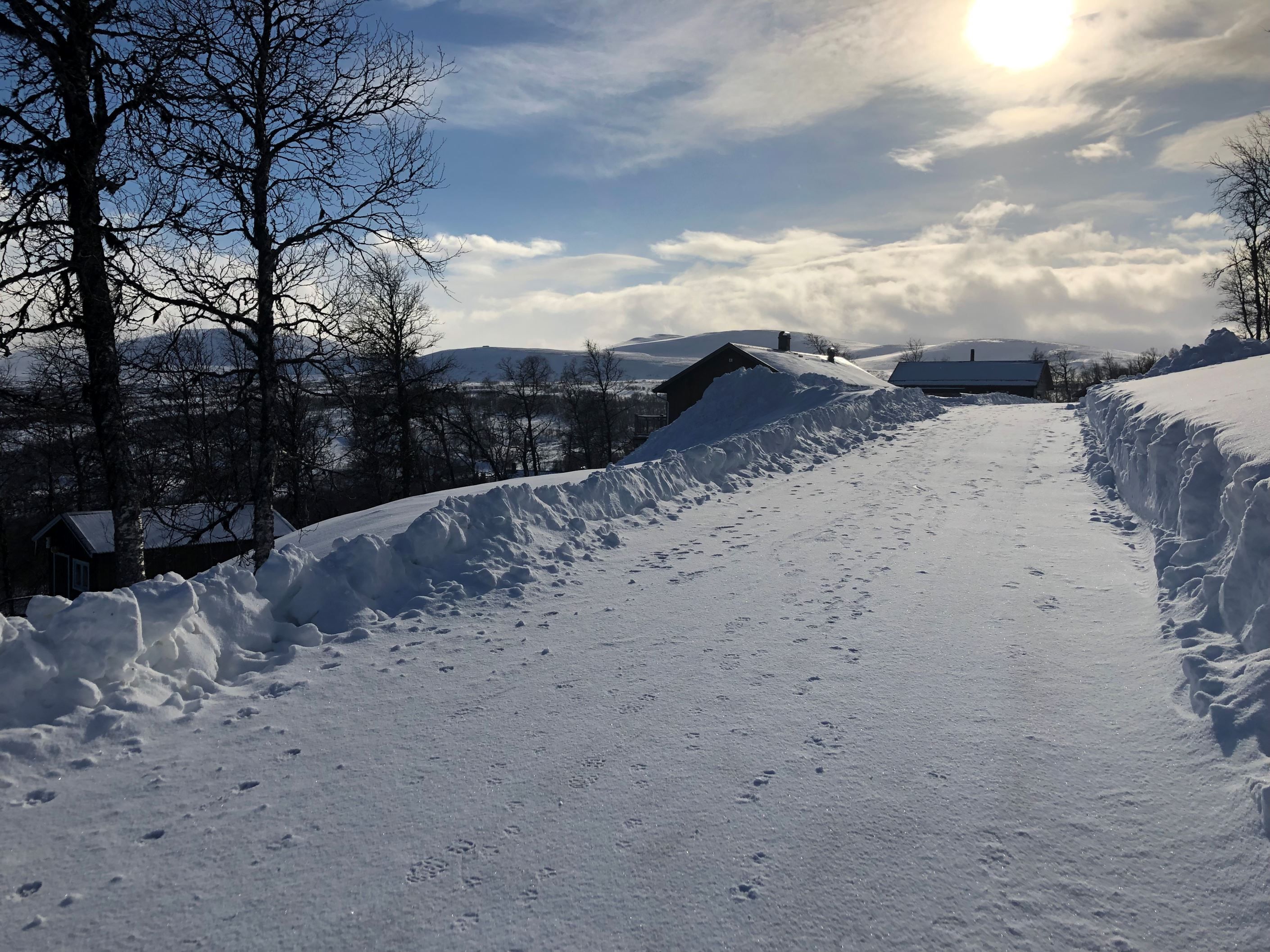 Säljarens foto