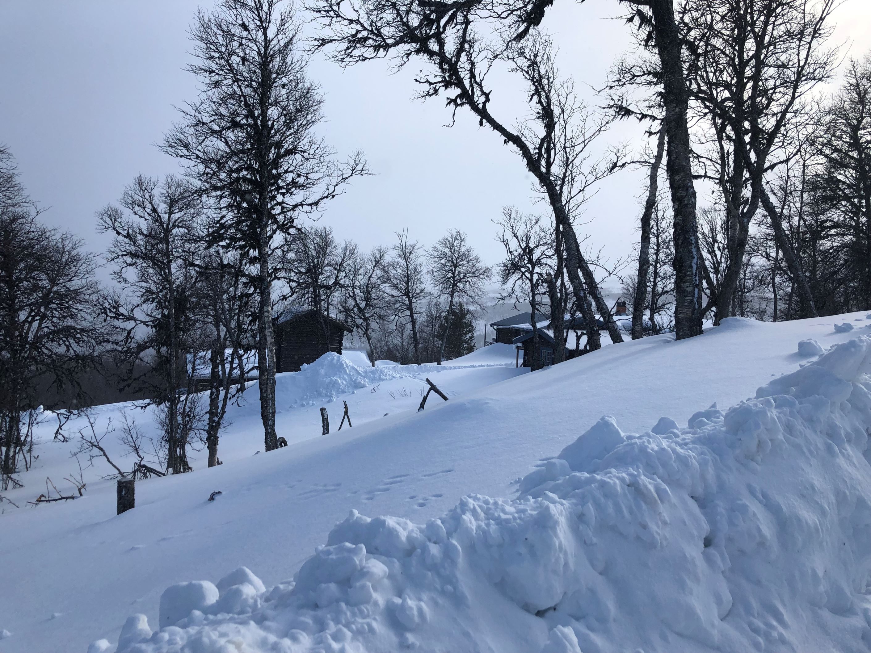 Säljarens foto