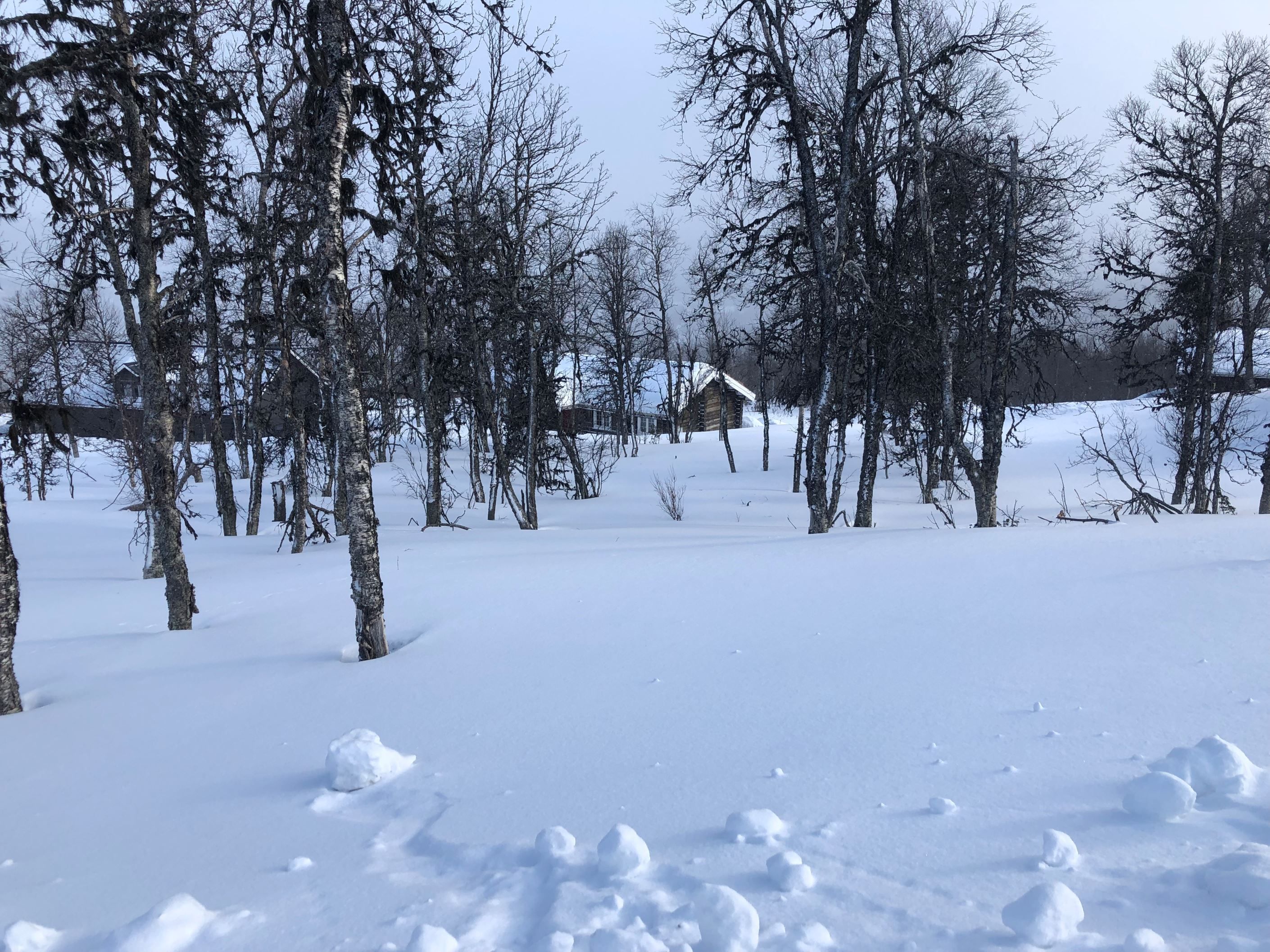 Säljarens foto