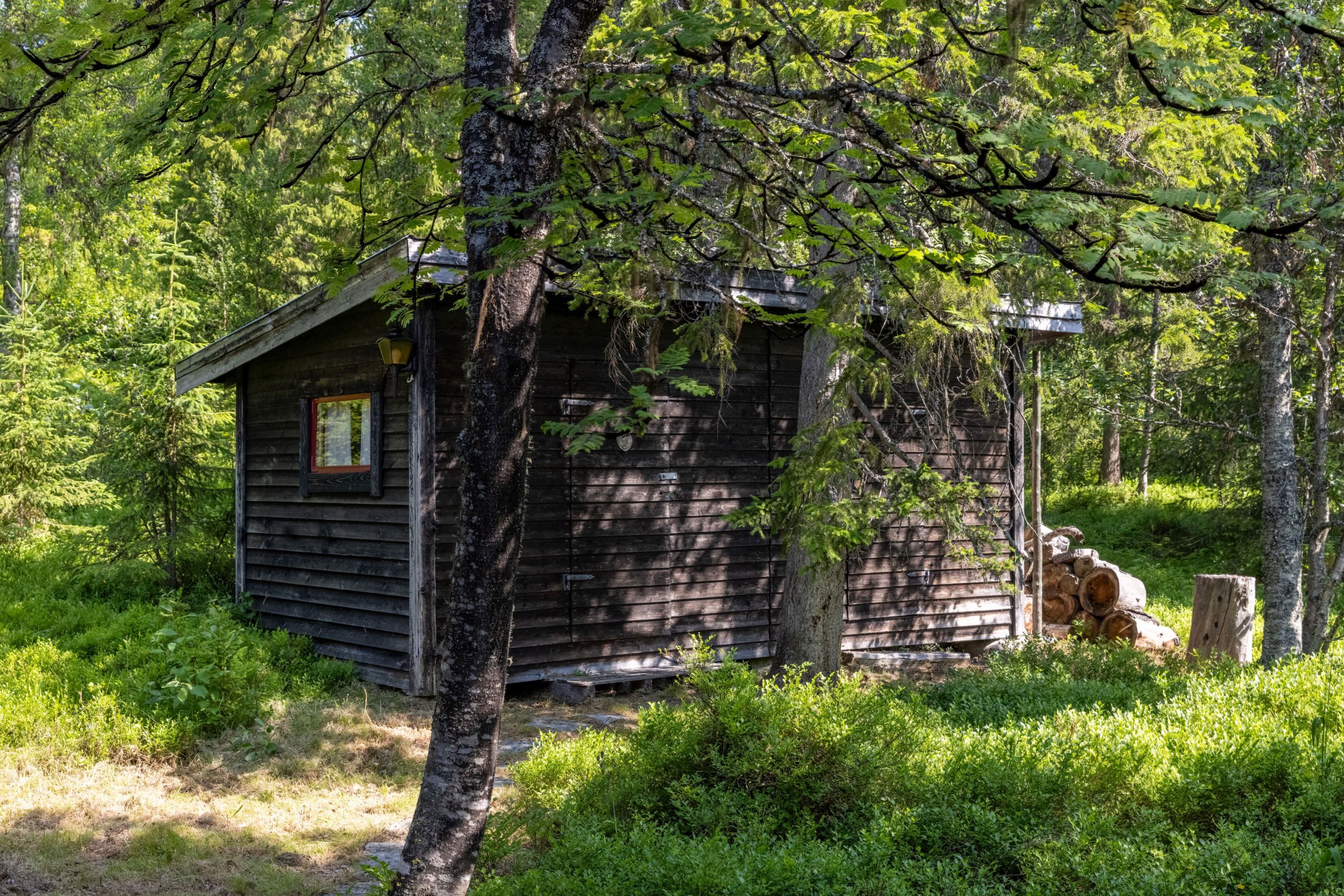 Bildkategori
