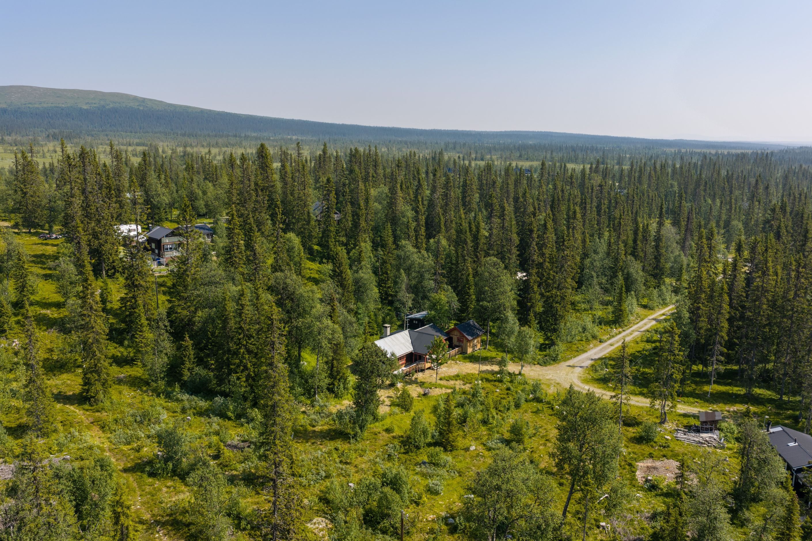 Bildkategori