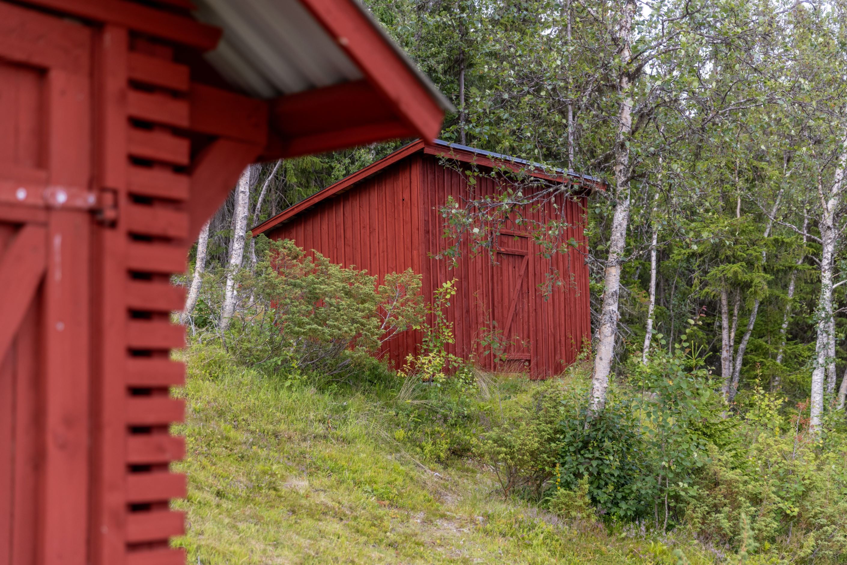 Bildkategori