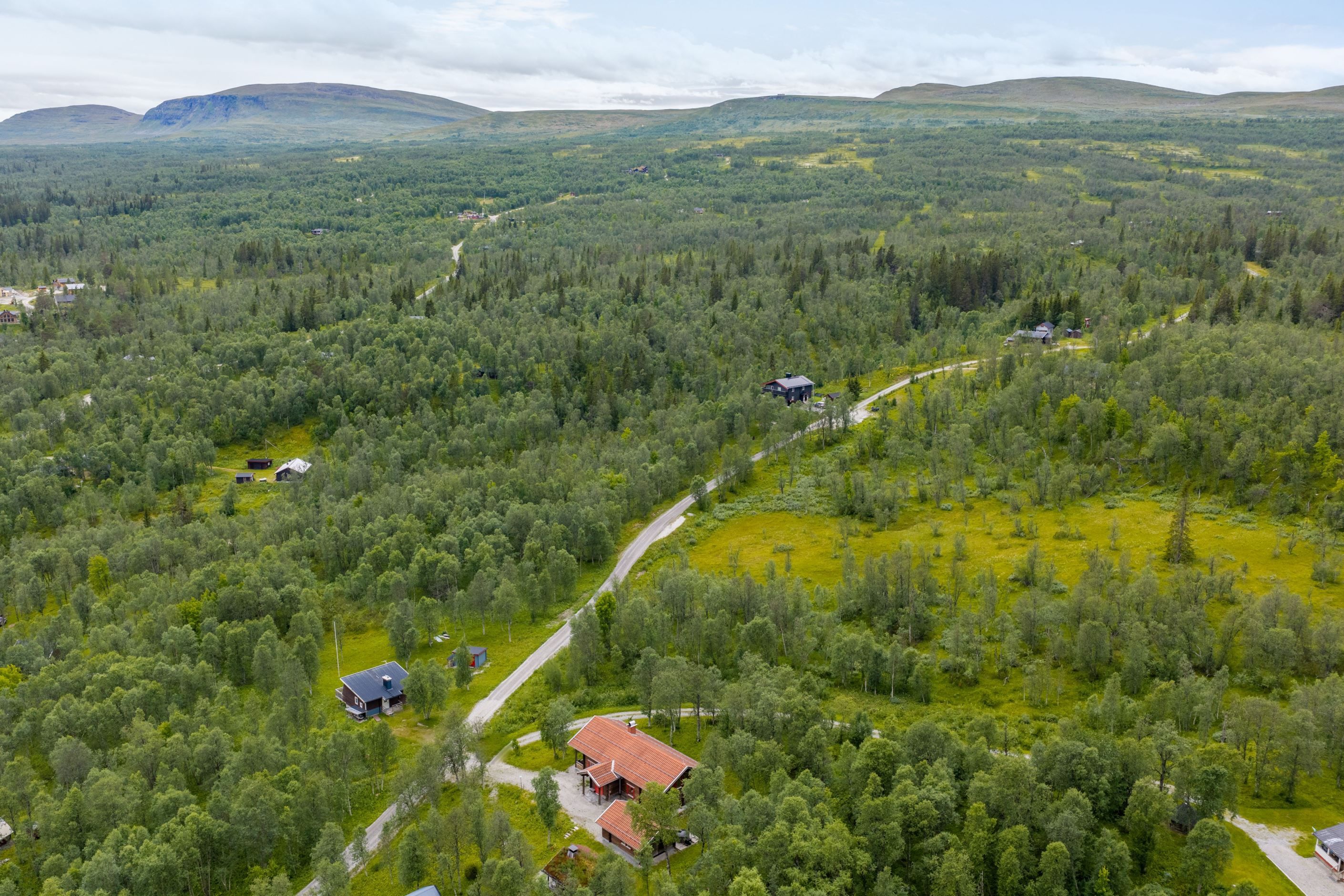 Bildkategori