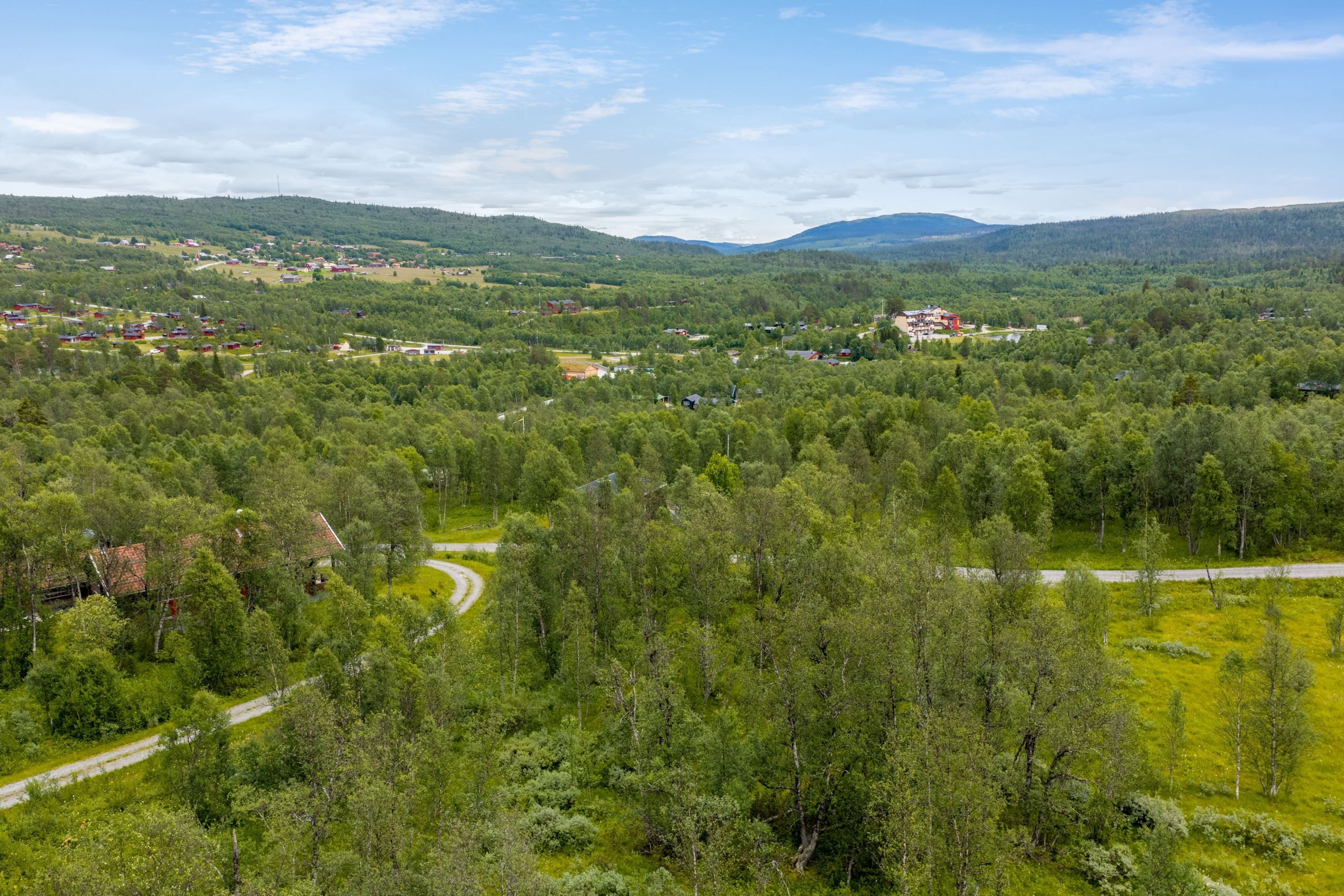 Bildkategori
