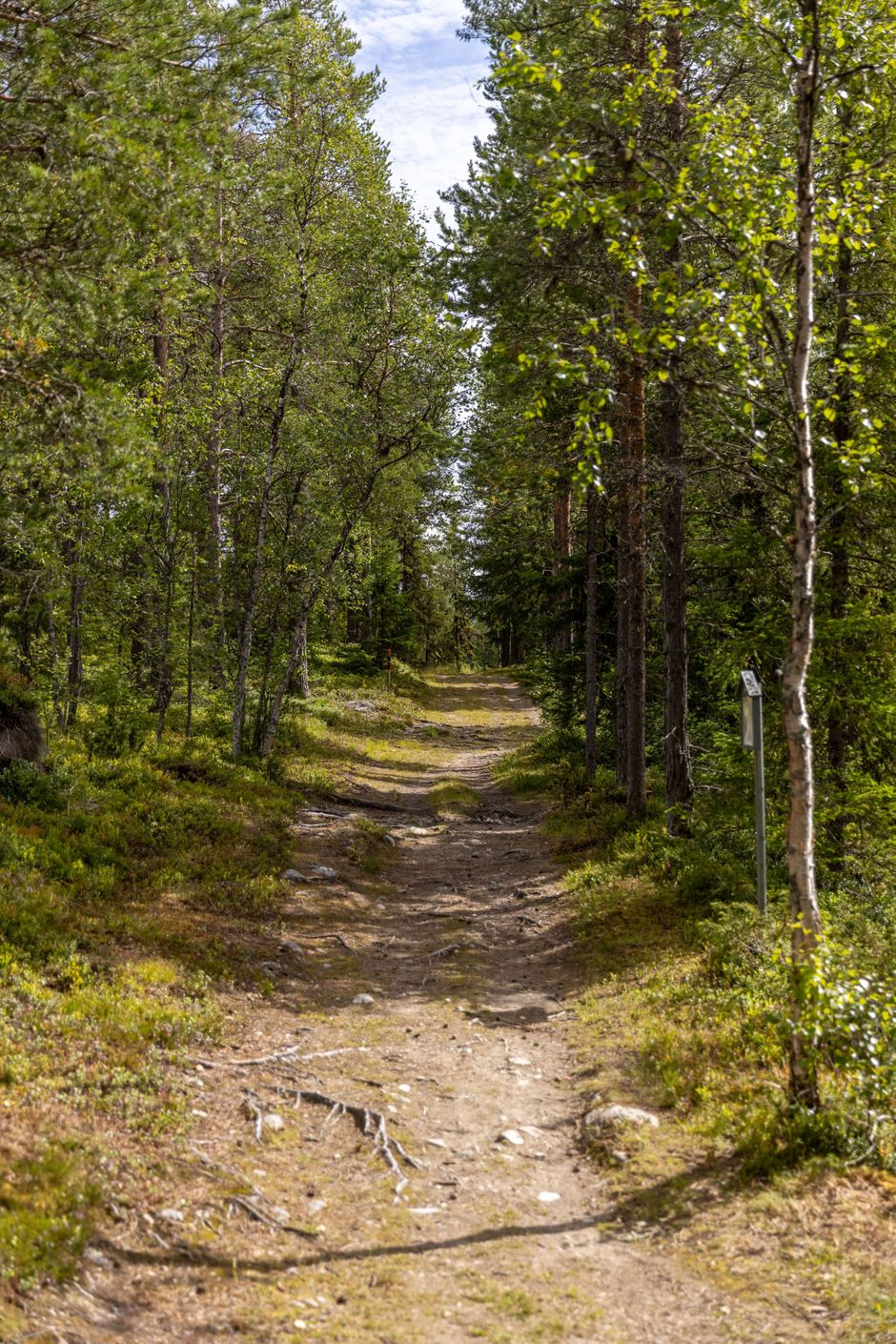 Bildkategori