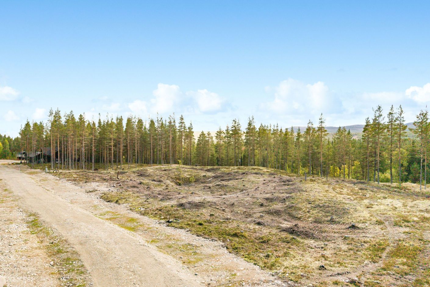 Bildkategori