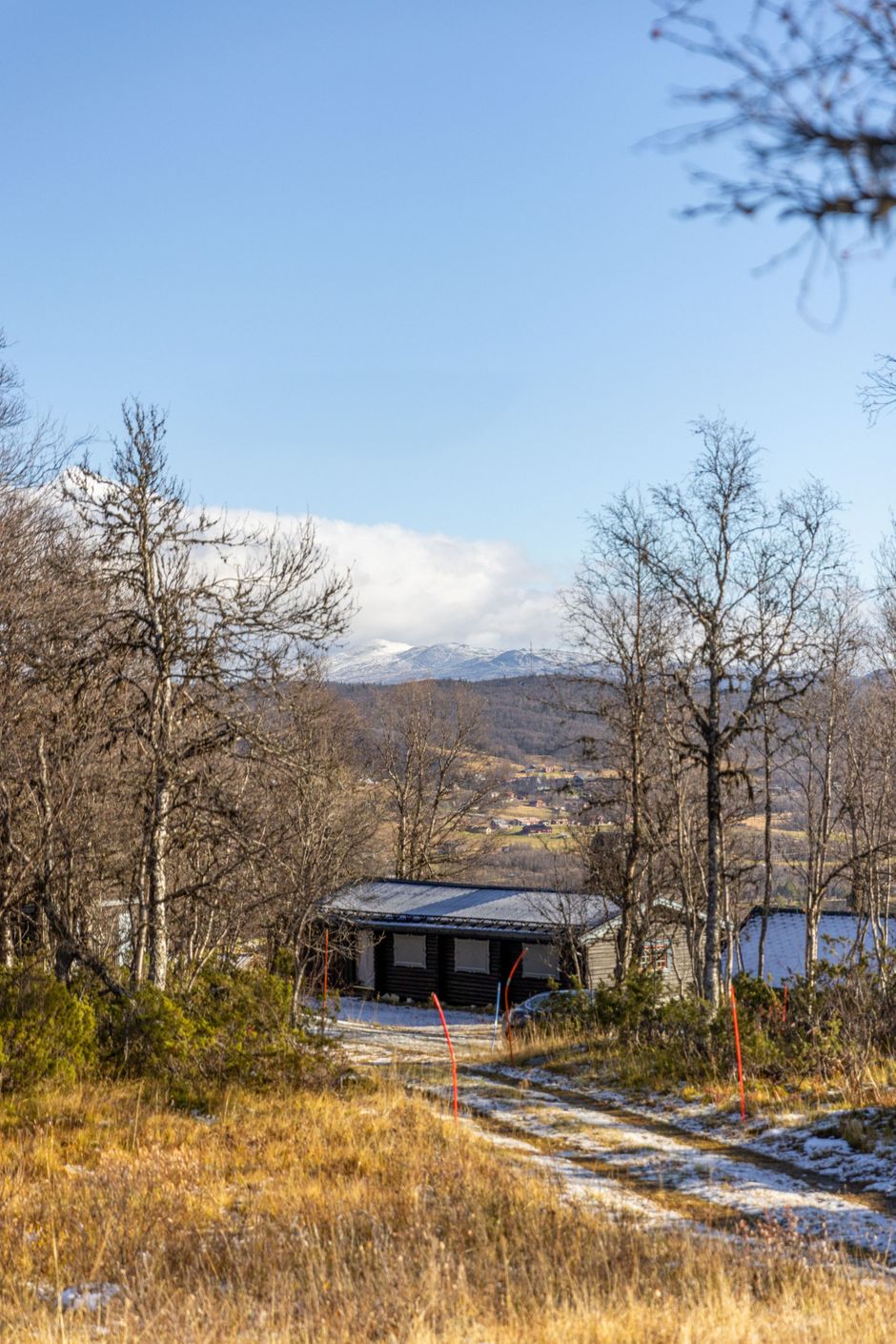 Bildkategori