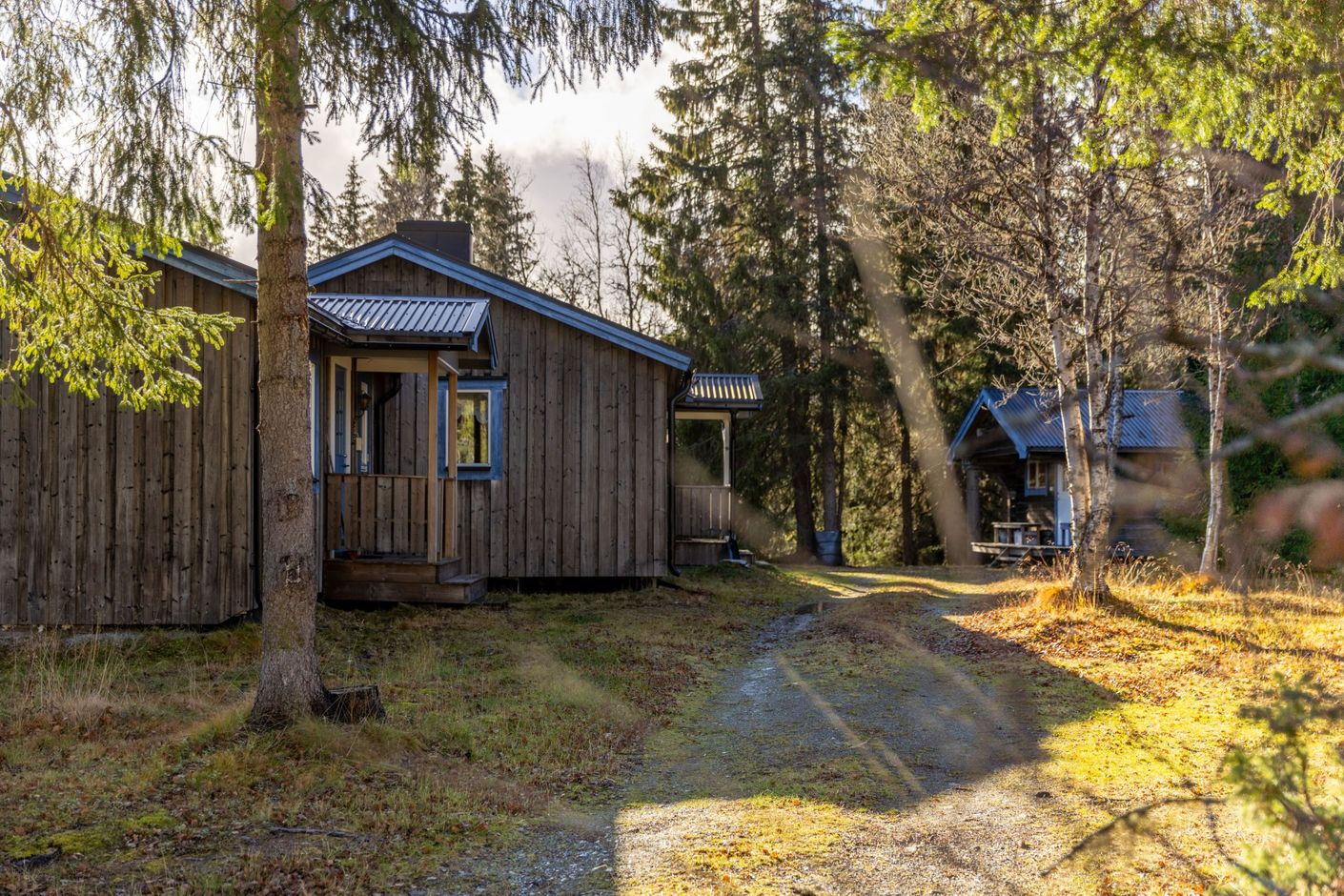 Exteriör