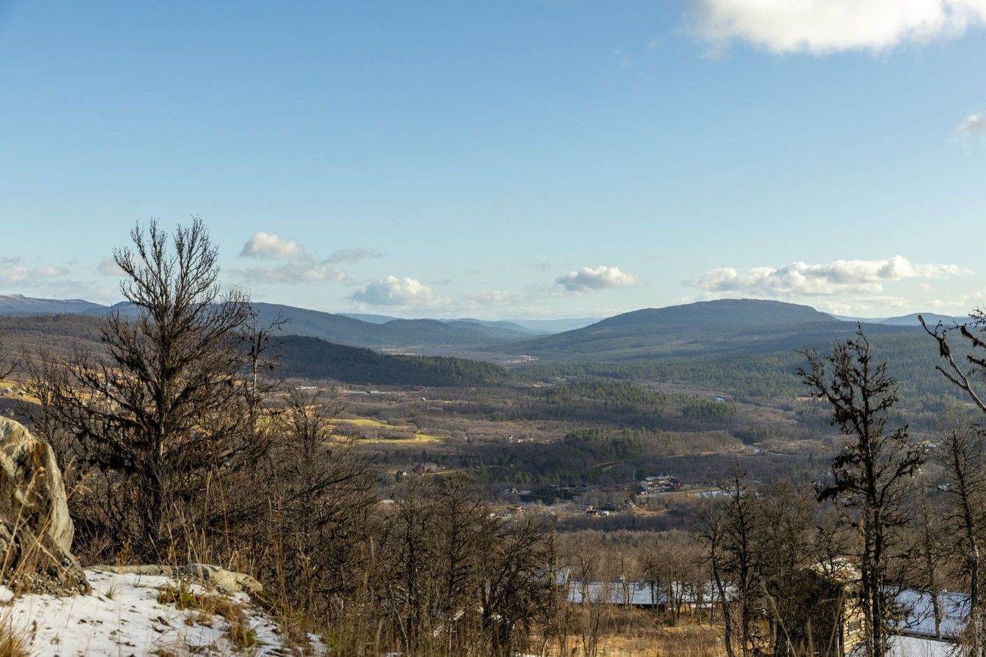 Bildkategori