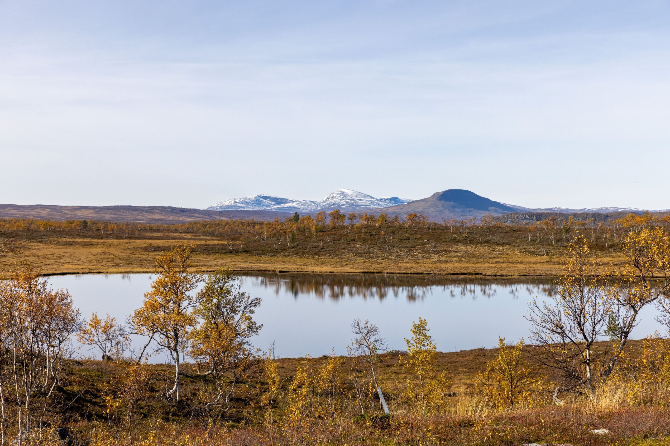 Områdesbild