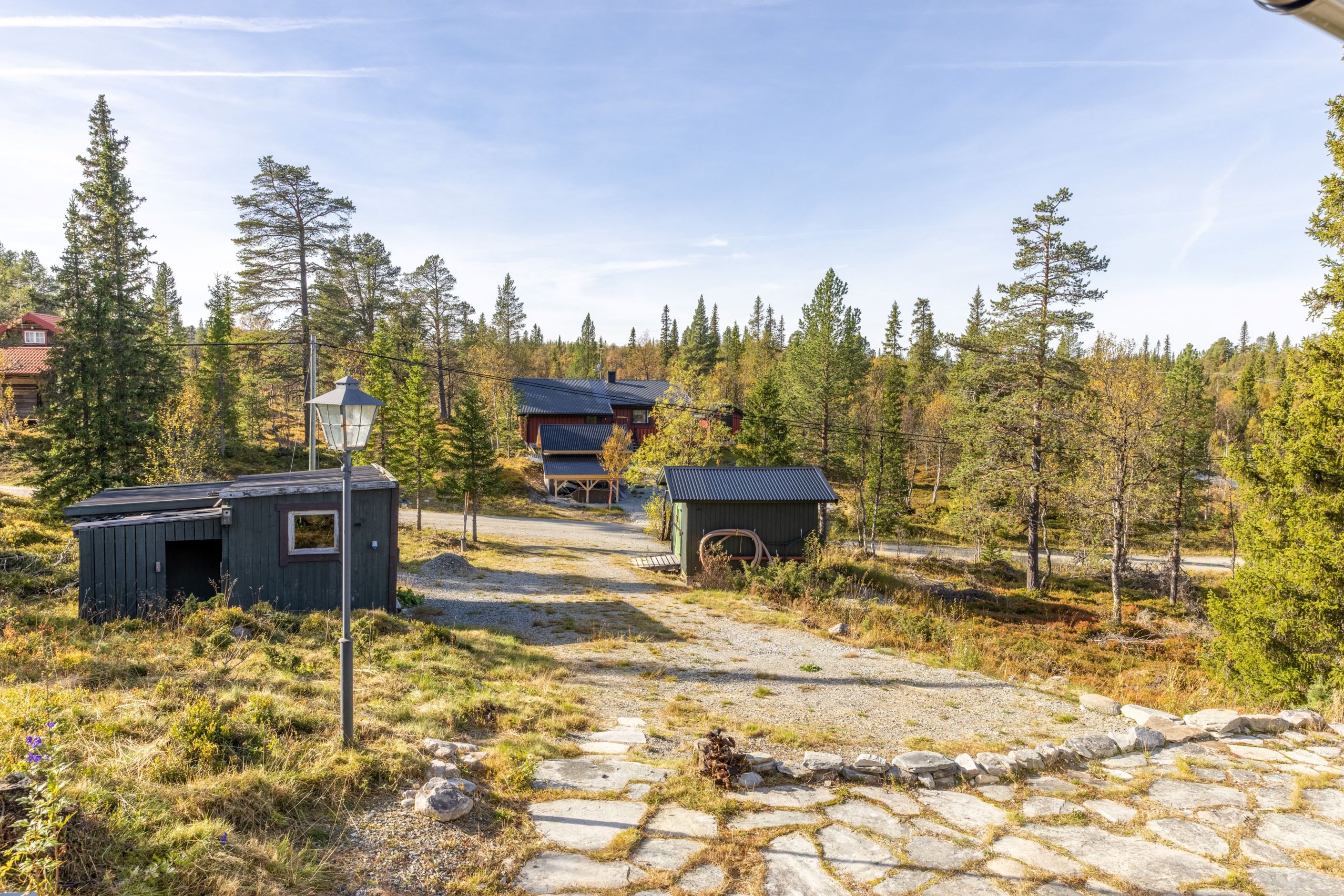 Exteriör