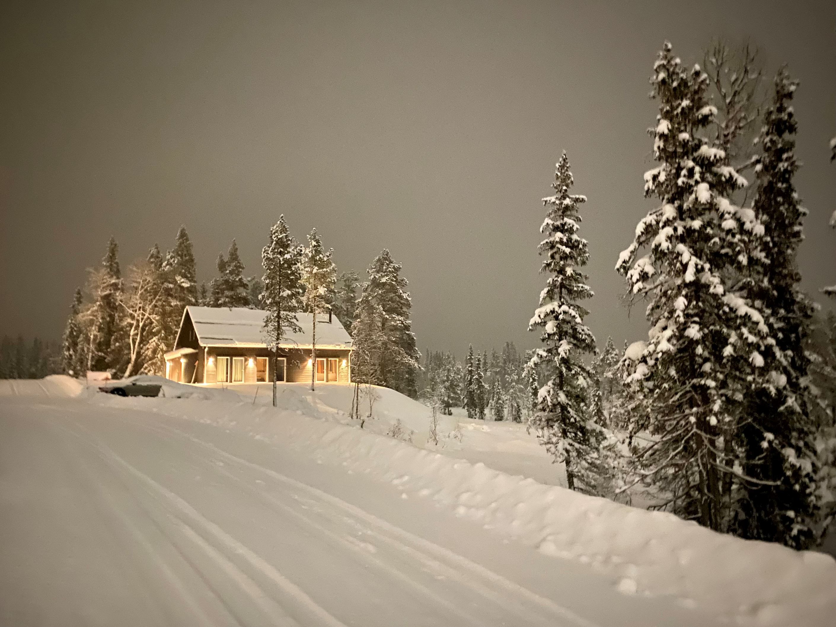 Säljarens foto