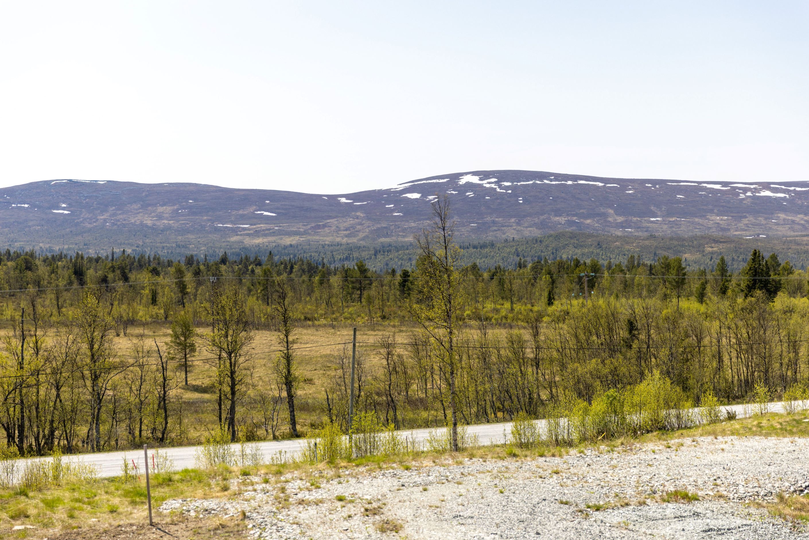 Områdesbild