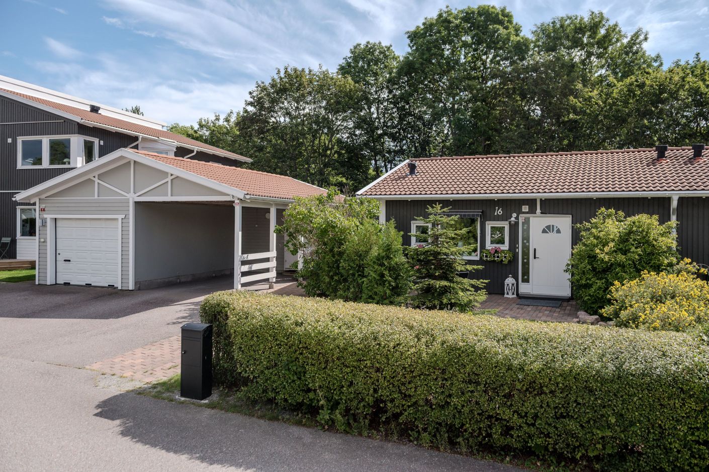 Exteriör