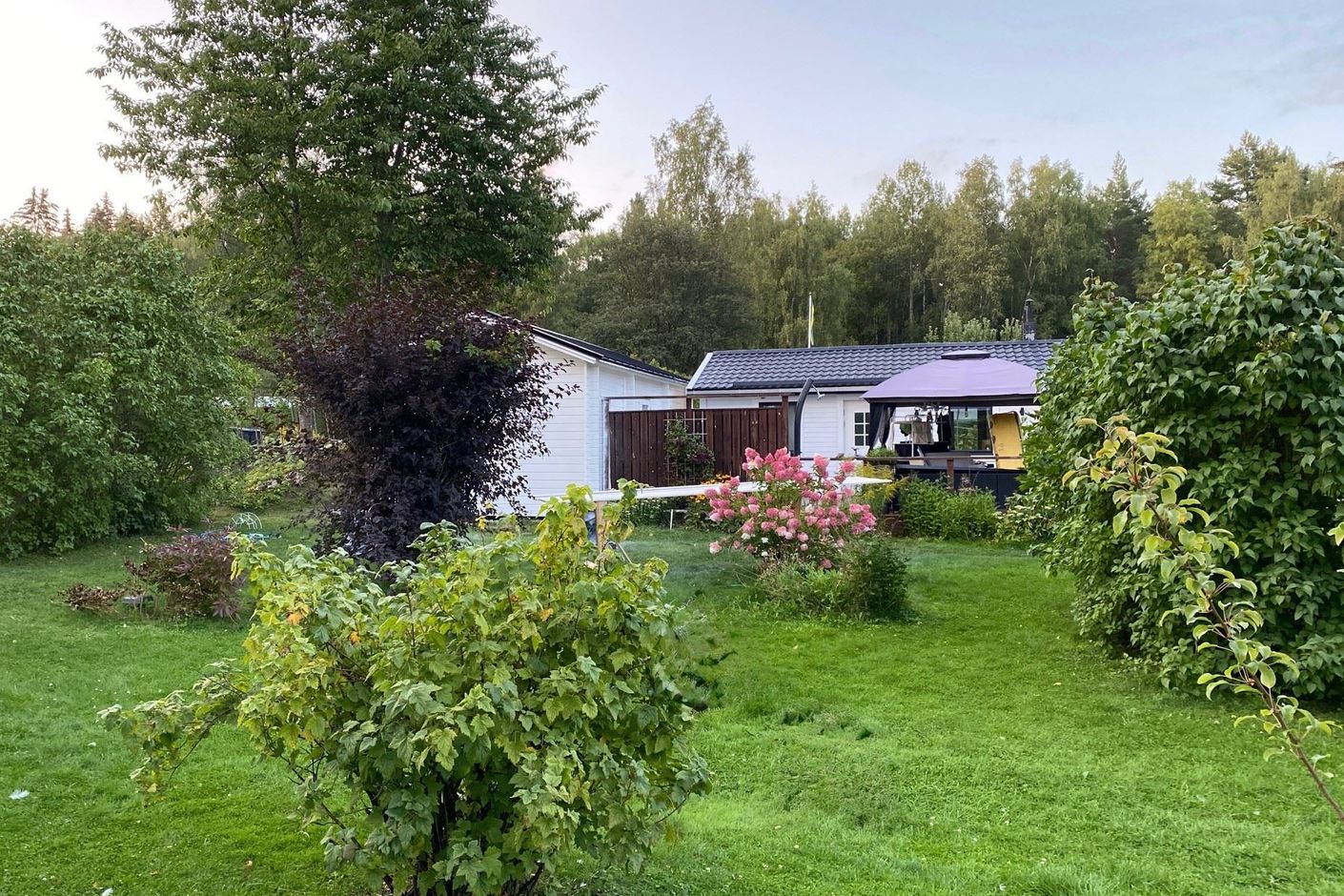 Egentagen bild