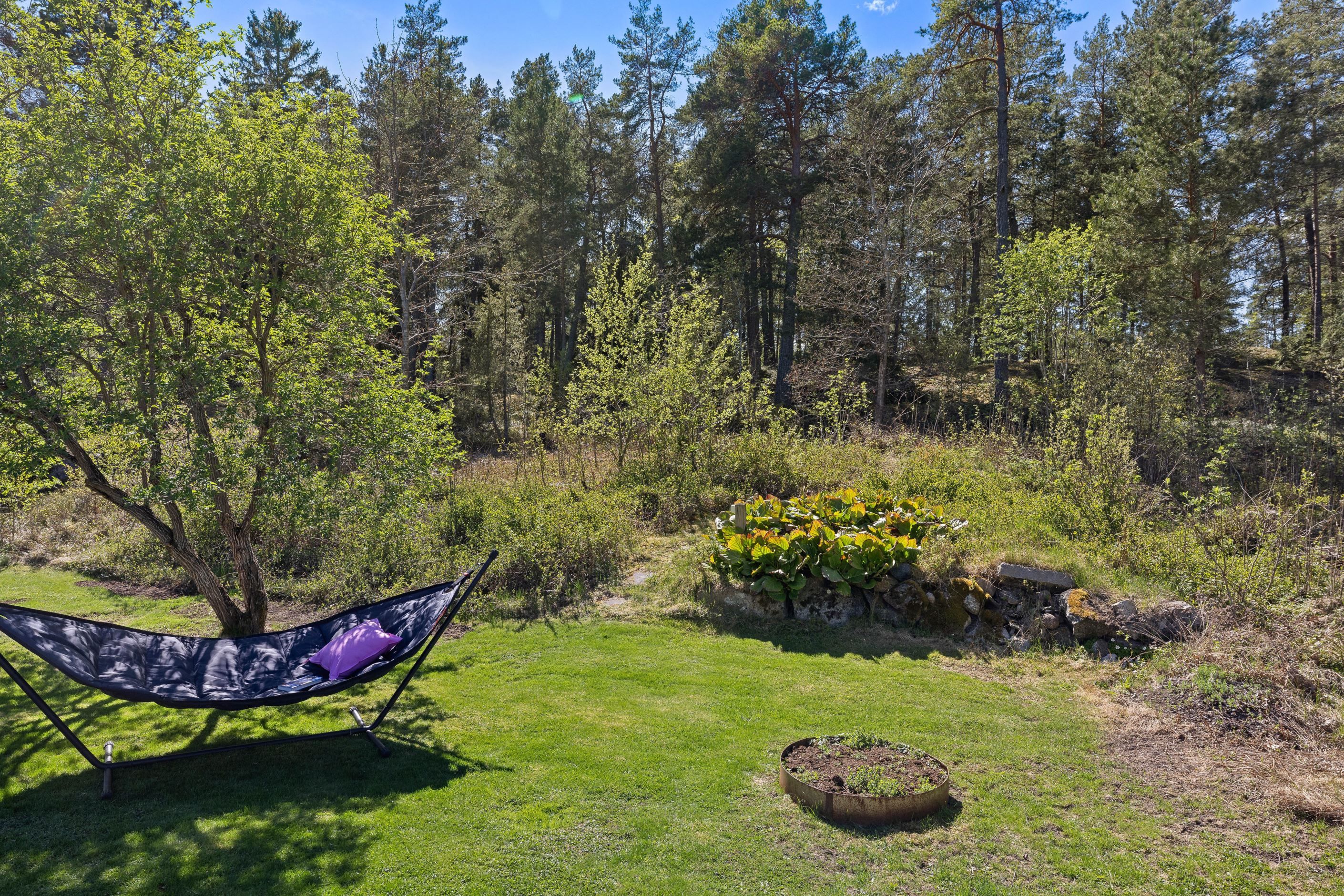 Trädgård