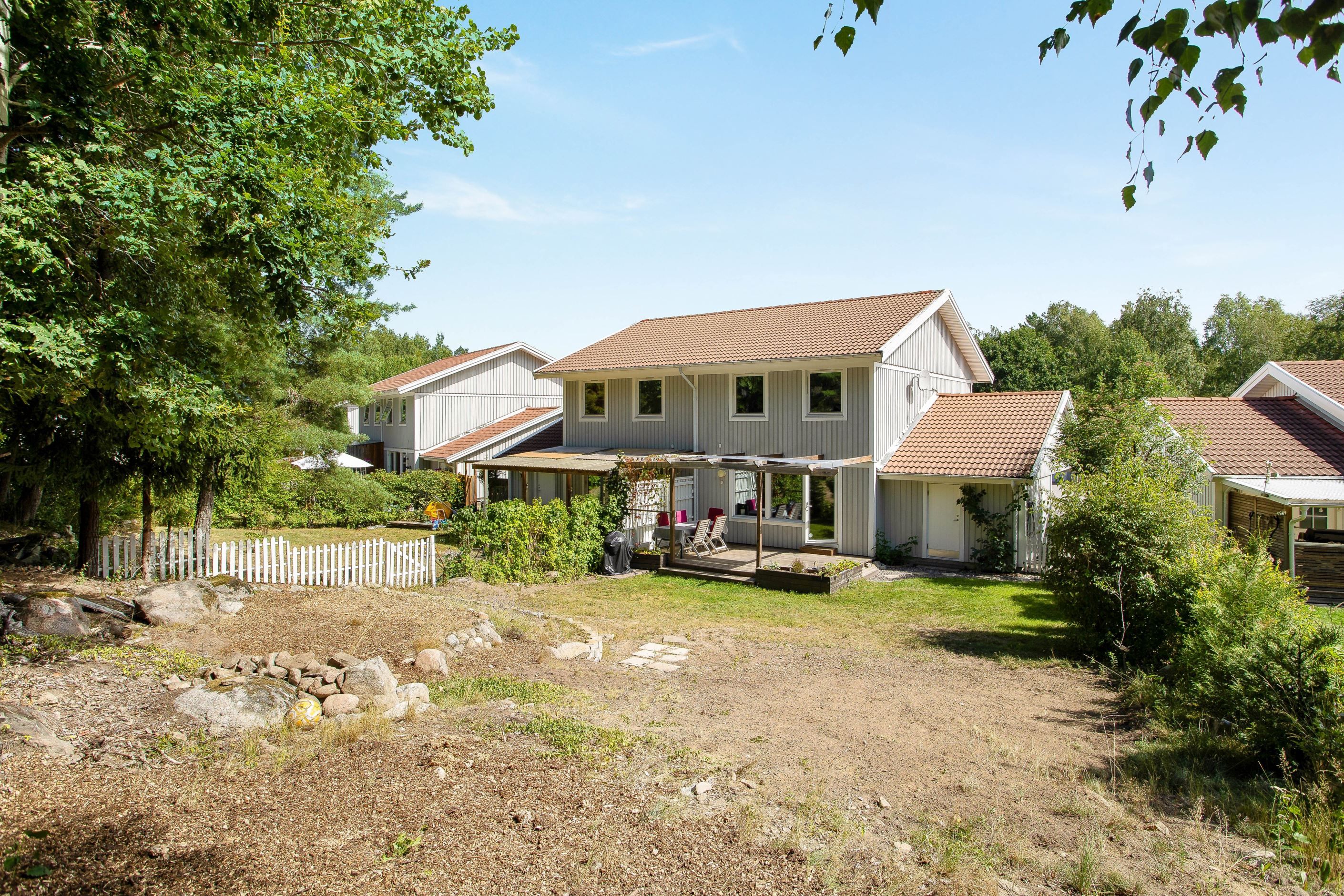 Trädgård