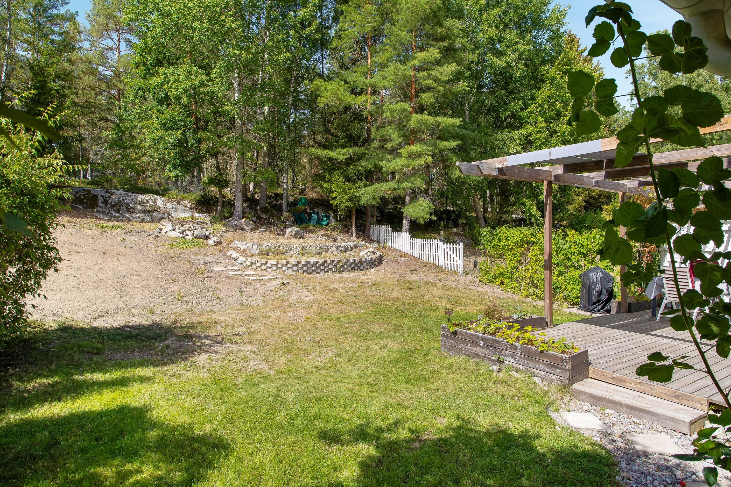 Trädgård