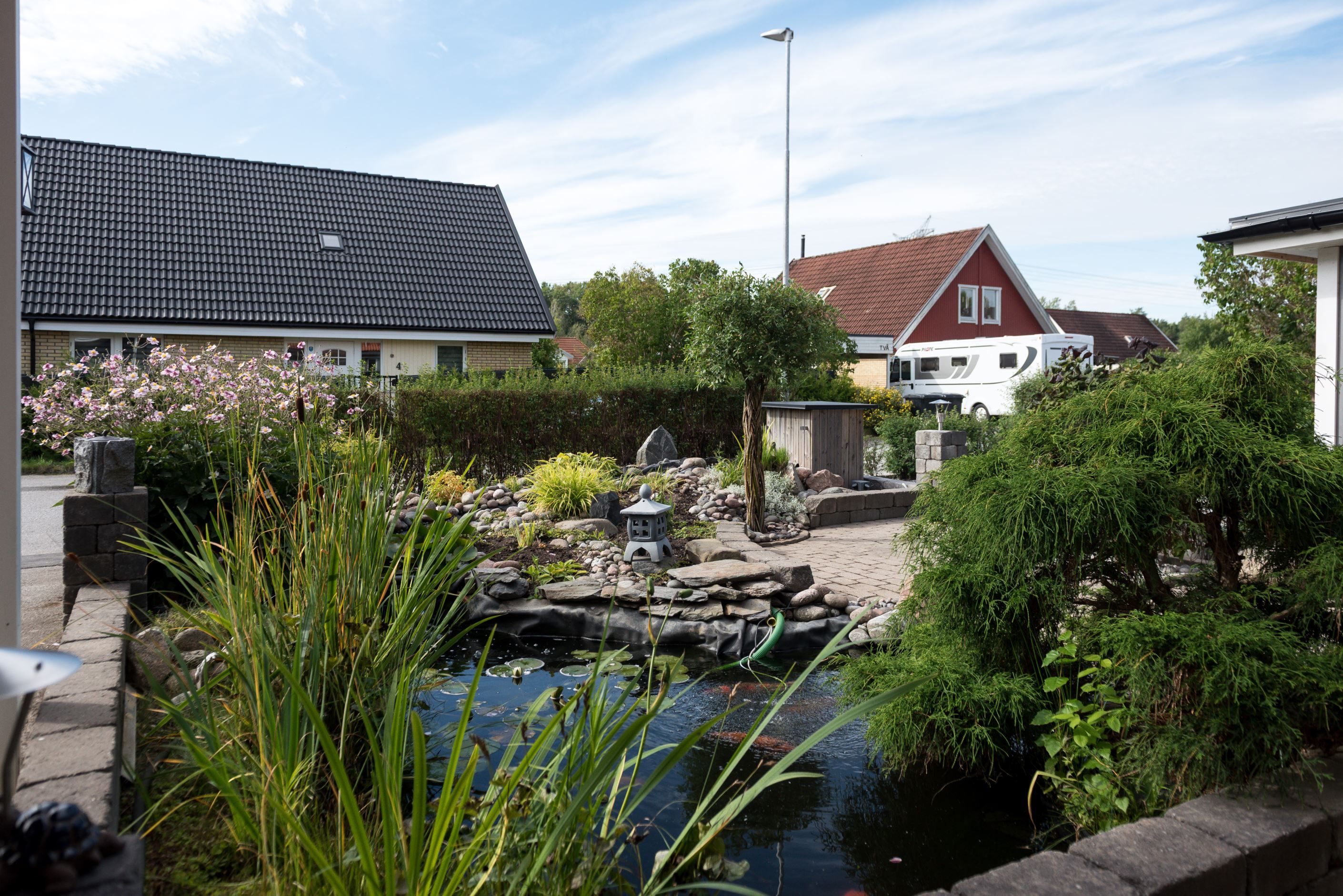Trädgård