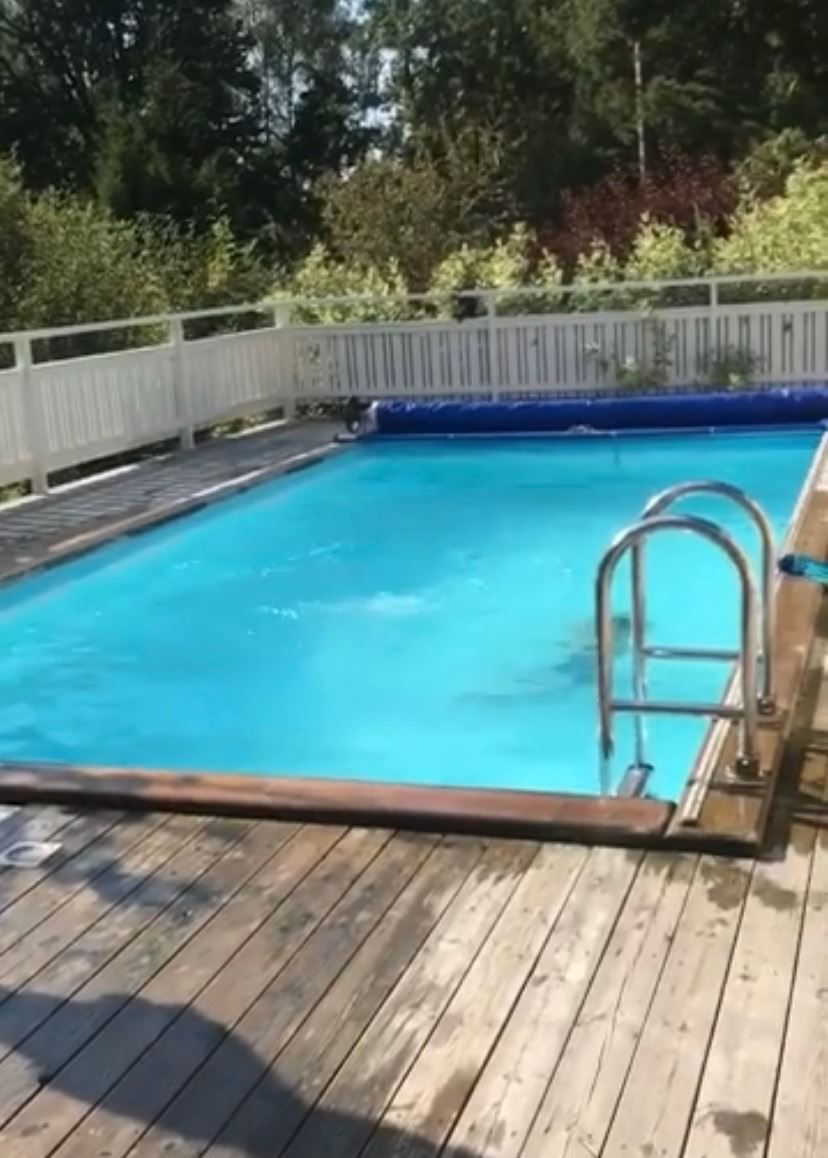 Säljarens sommarbild