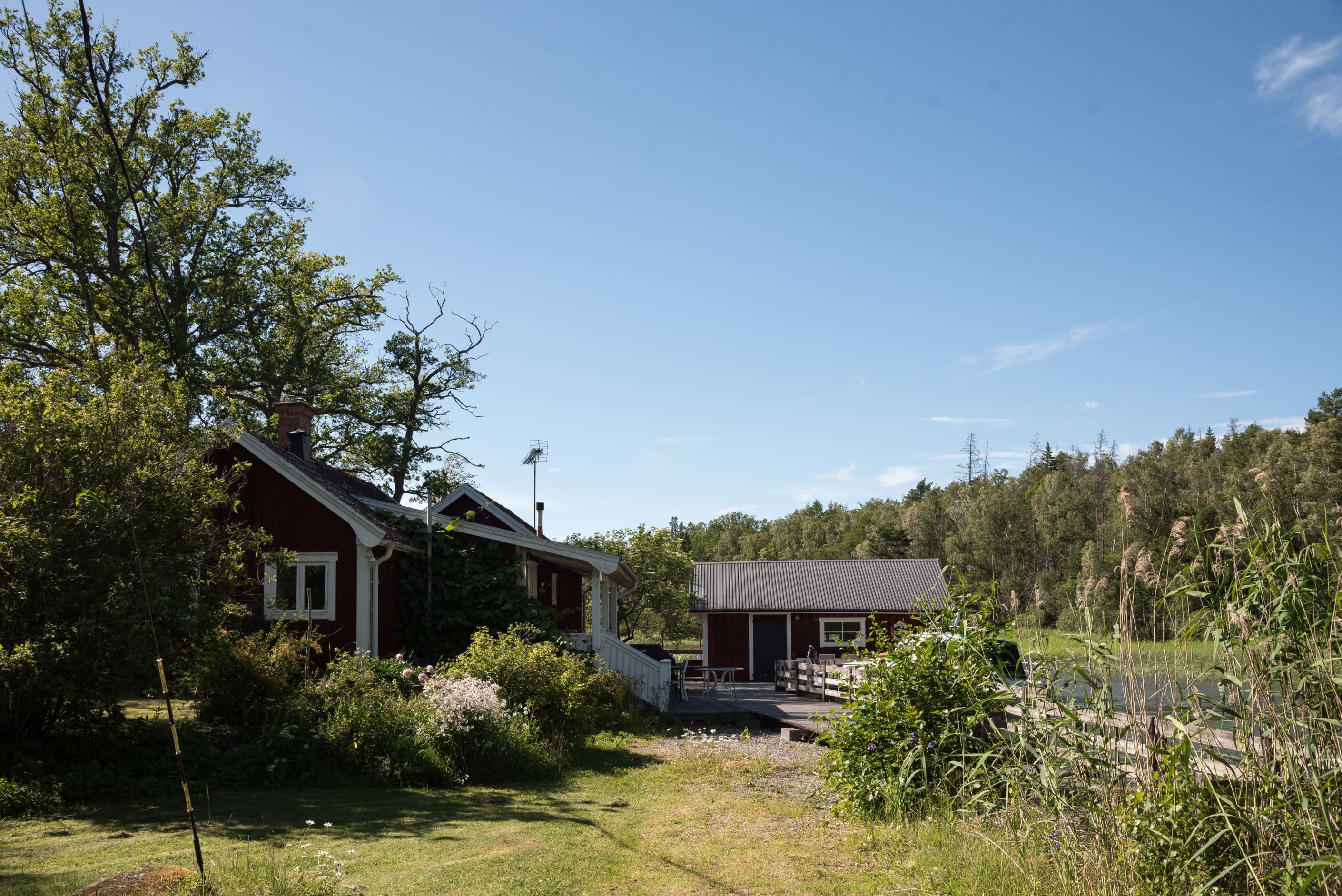Exteriör