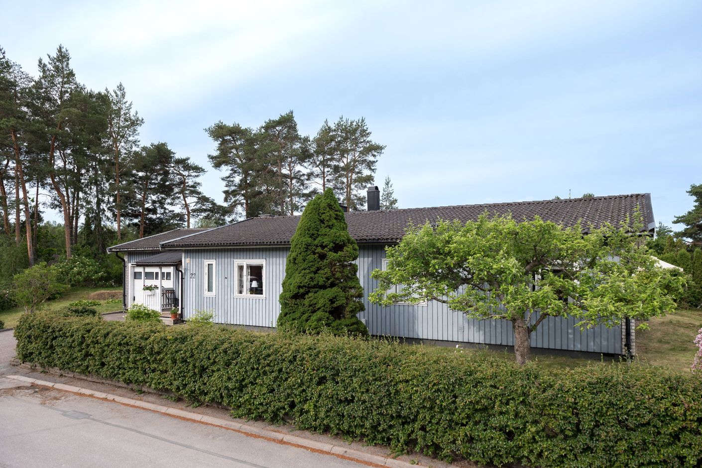 Exteriör