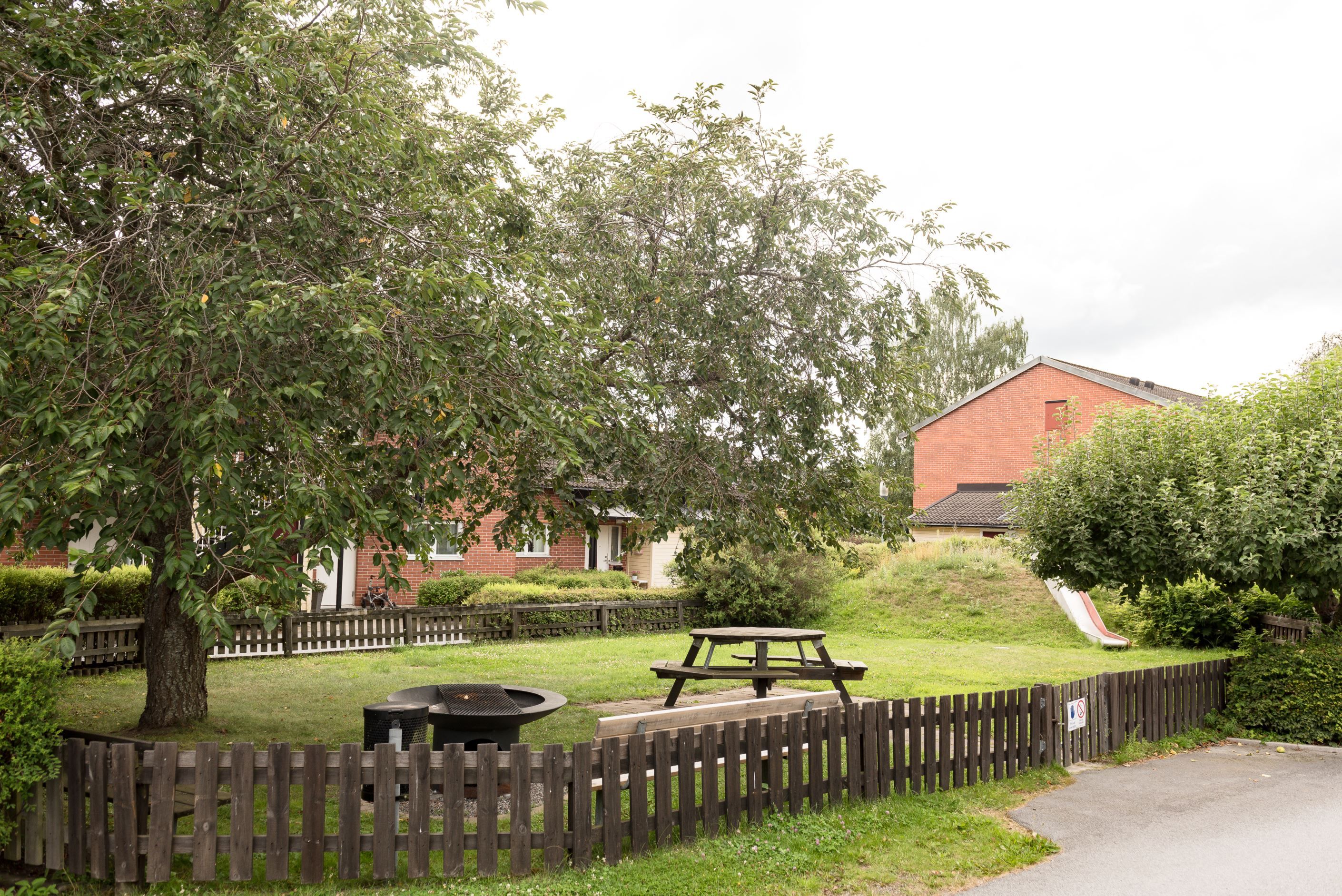 Områdesbilder