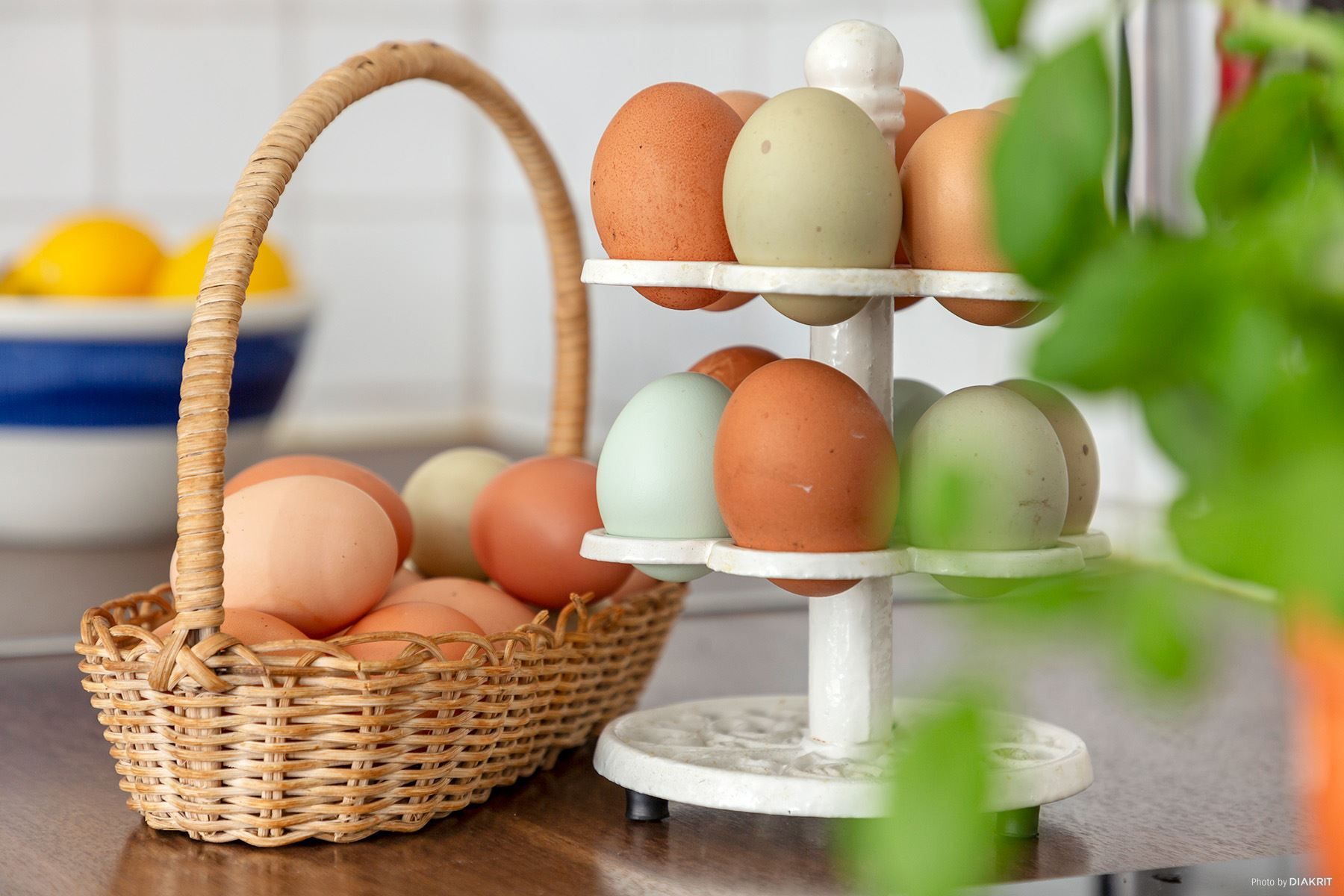 Ägg från föreningens höns