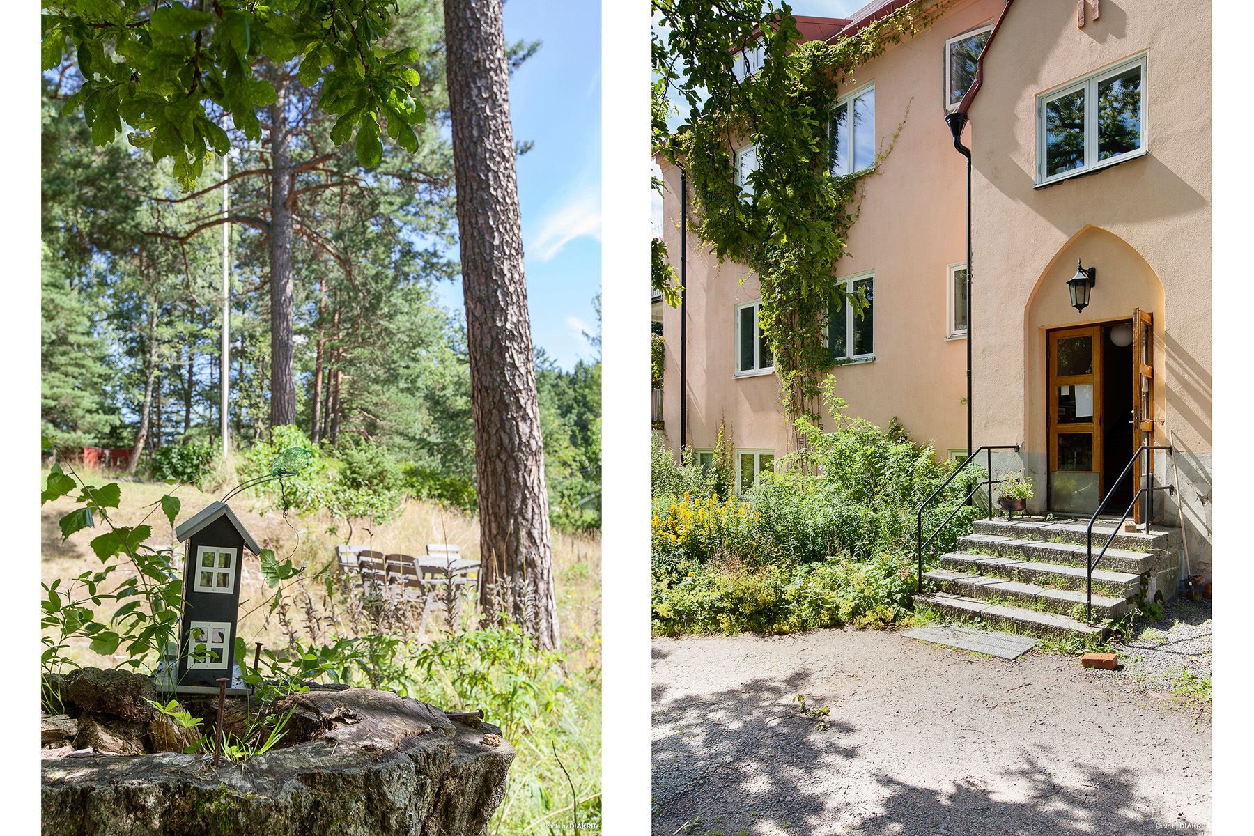 Skärgårdstall och klättrande växtlighet