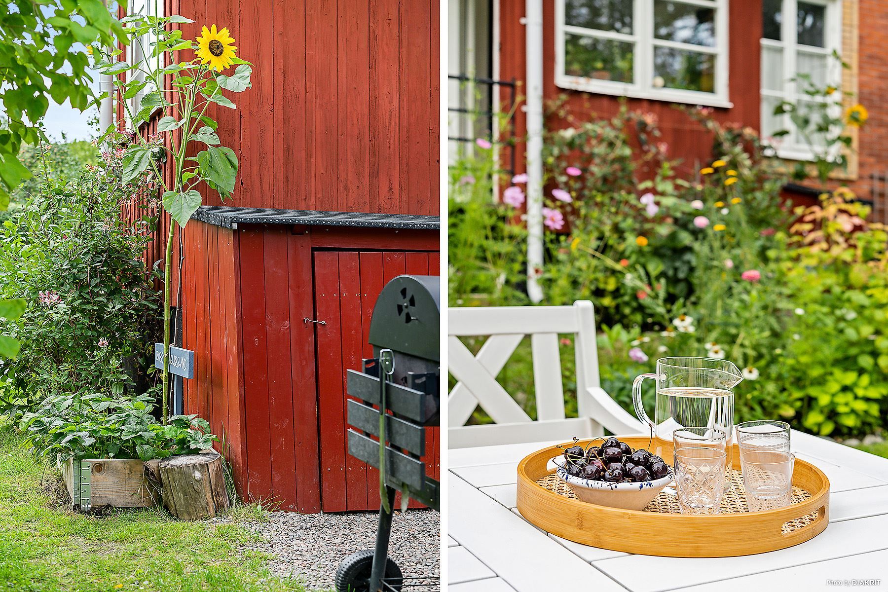 Trädgårdsförråd, solros, blomster och grusad sittplats