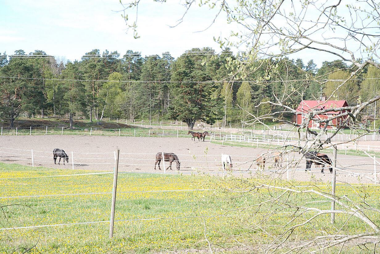 Värmdö Ridklubb i Evlinge.