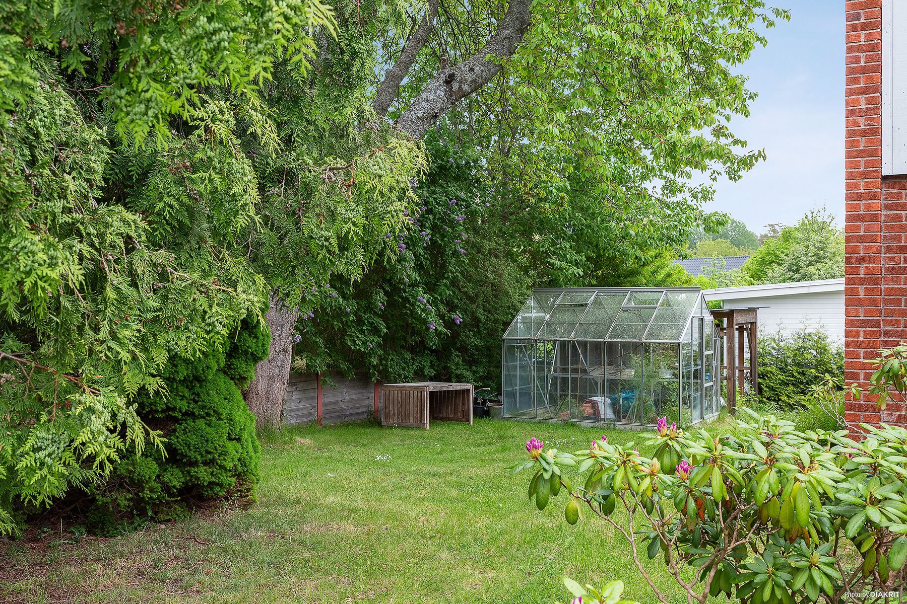 Trädgård med växthus