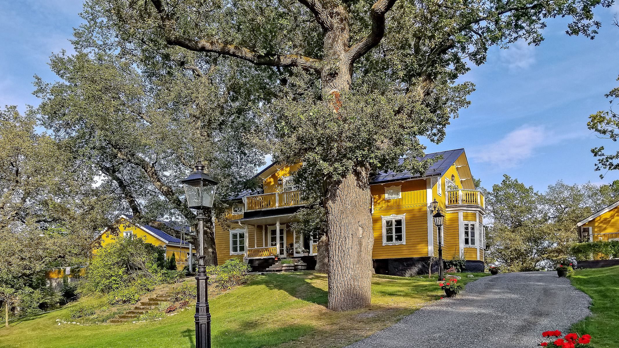 Läkarvillan med sina 100 åriga ekar
