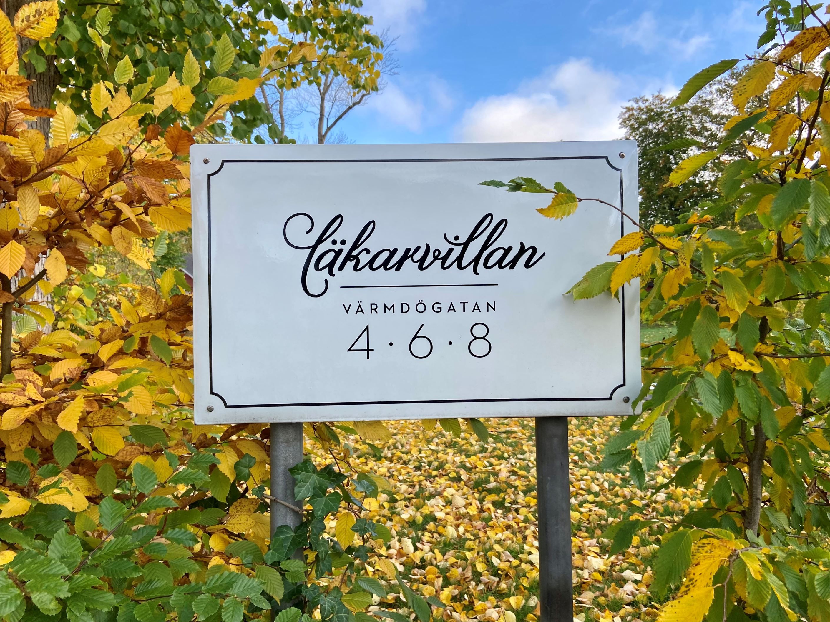 Områdesbild