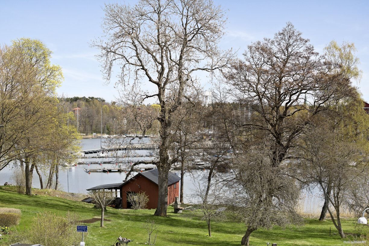 Föreningens vackra slänter mot vattnet