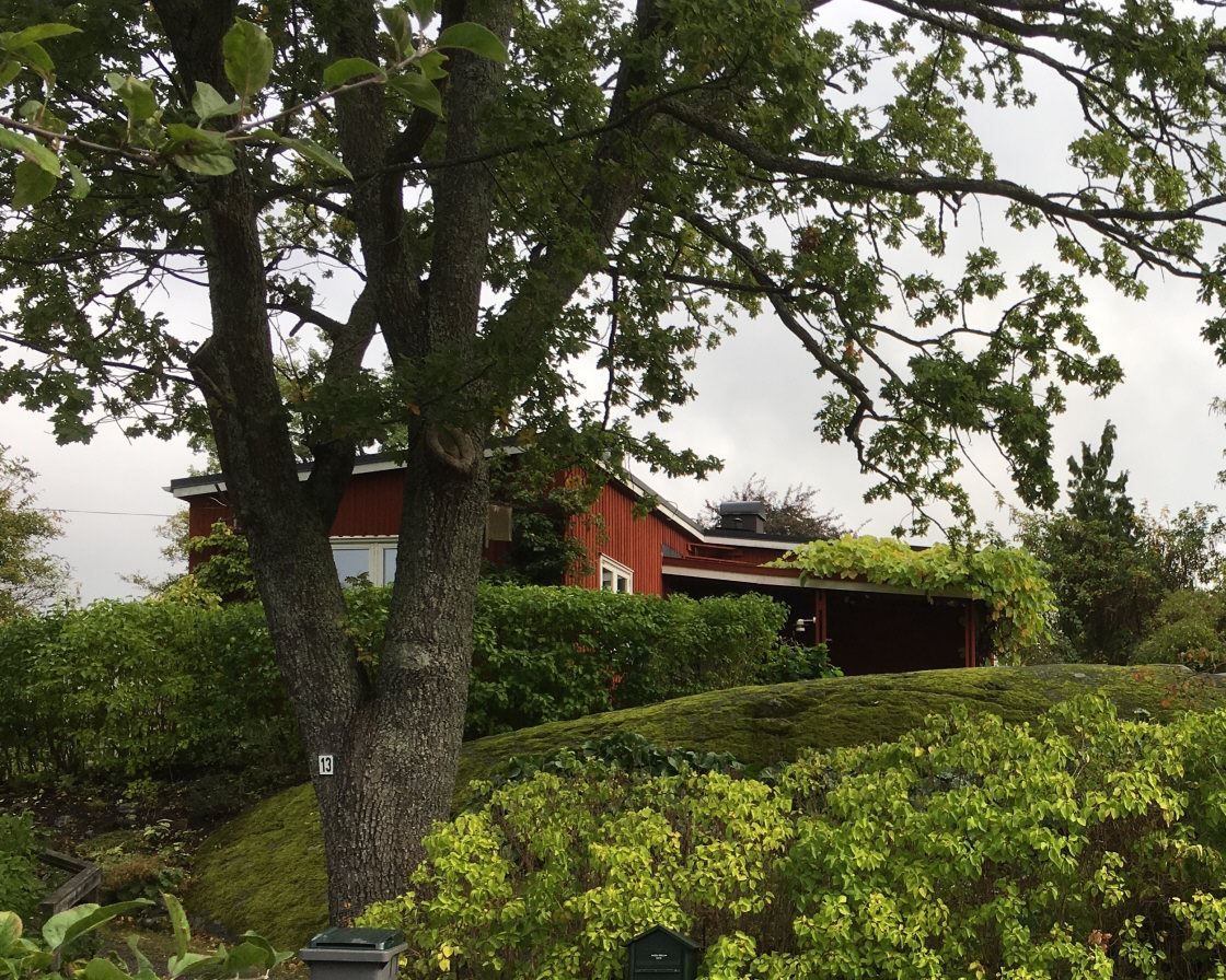 Inbäddad i grönska