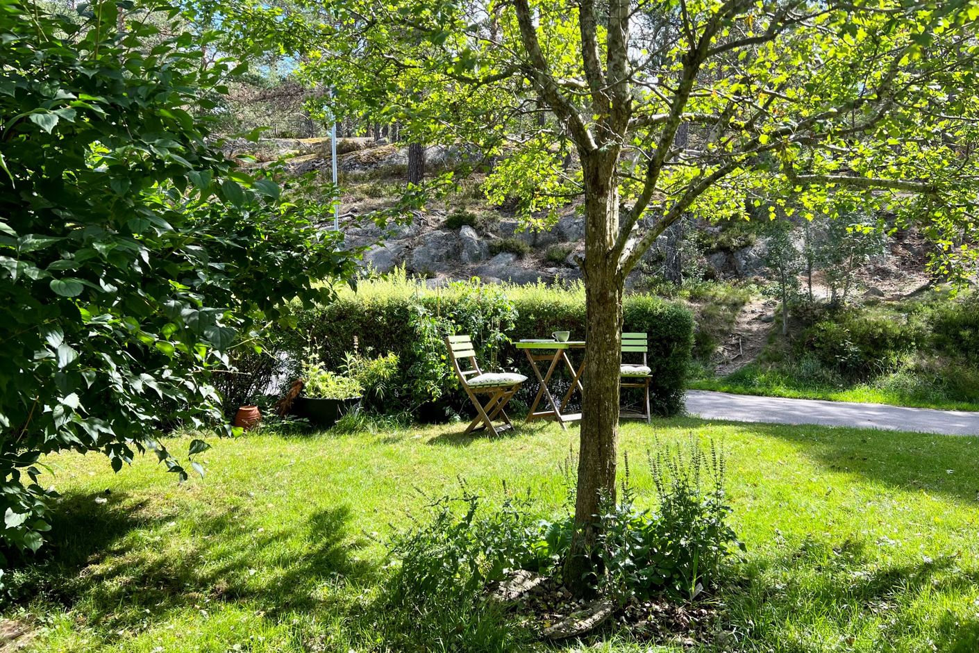 Utsikten från köksfönstret