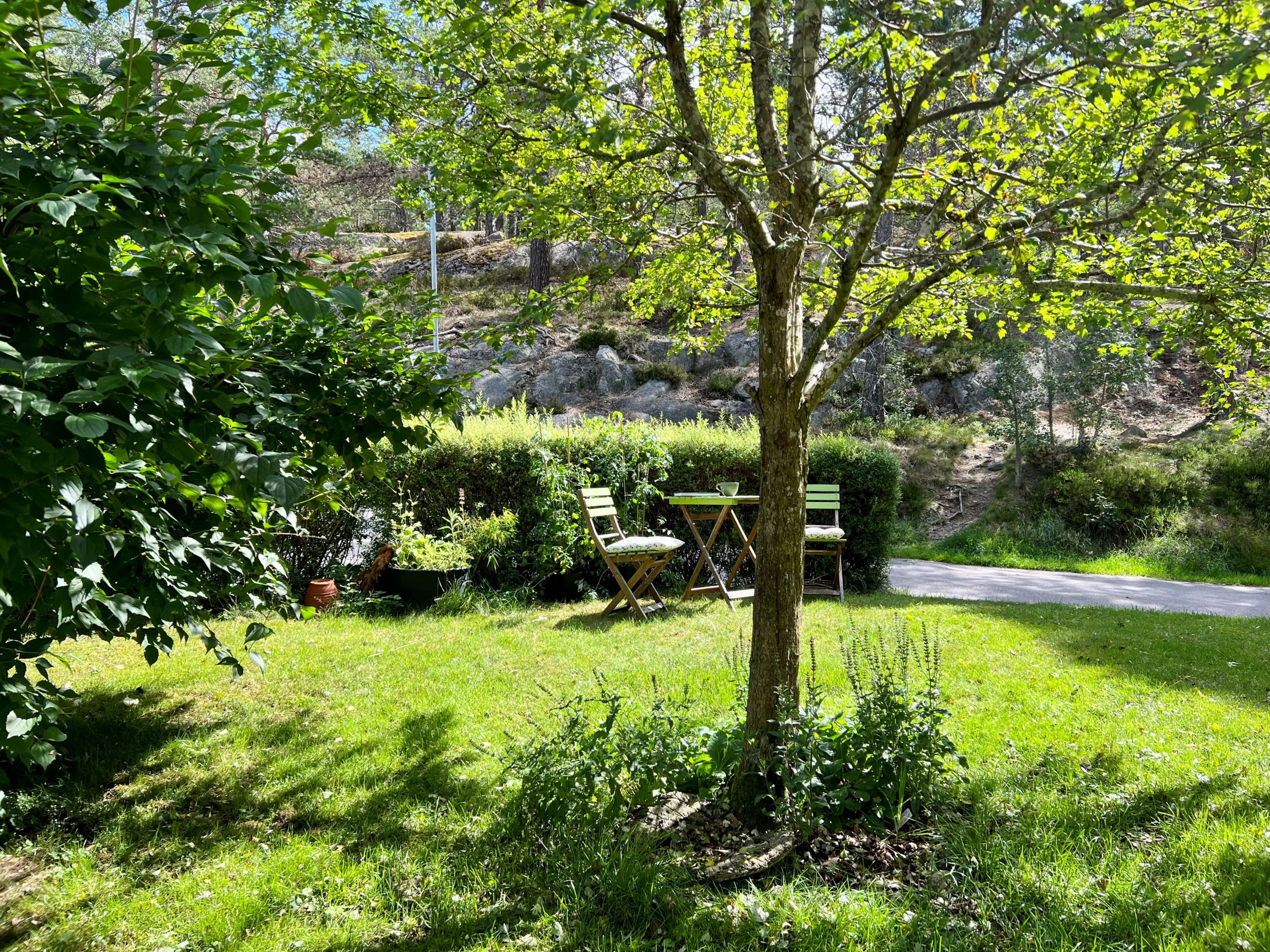 Utsikten från köksfönstret