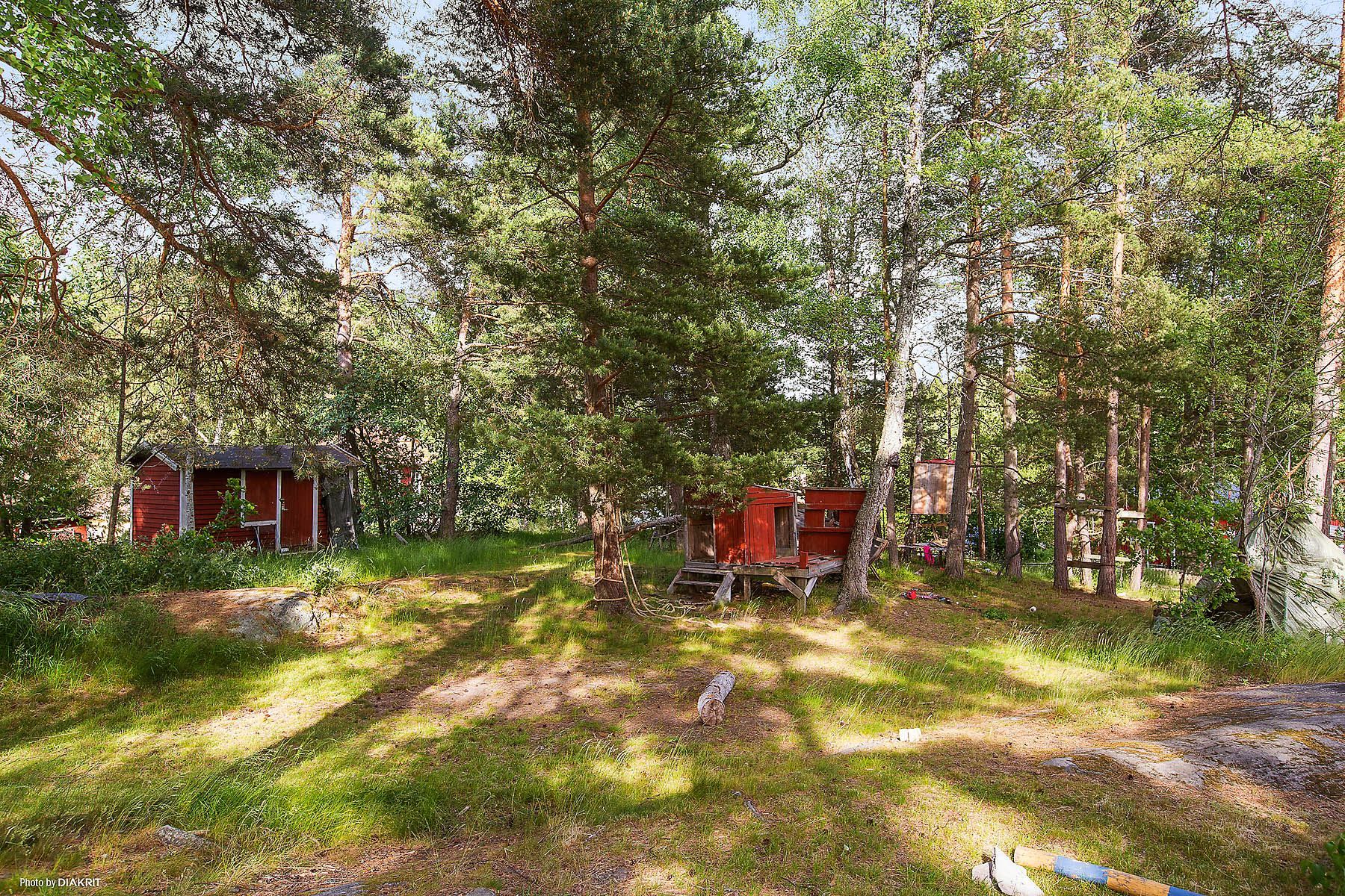 Plats för skogslek