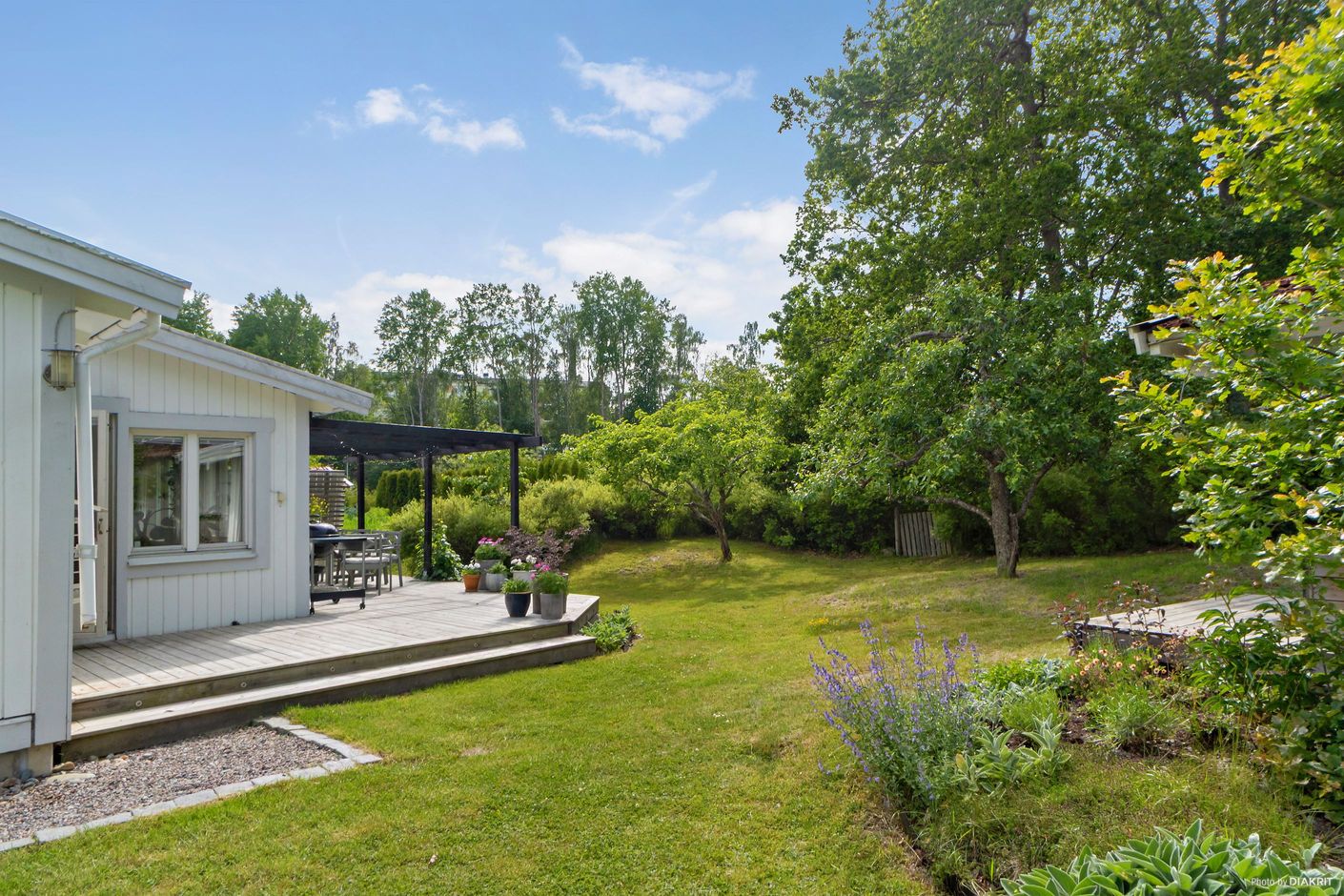 Tomten vetter mot skog