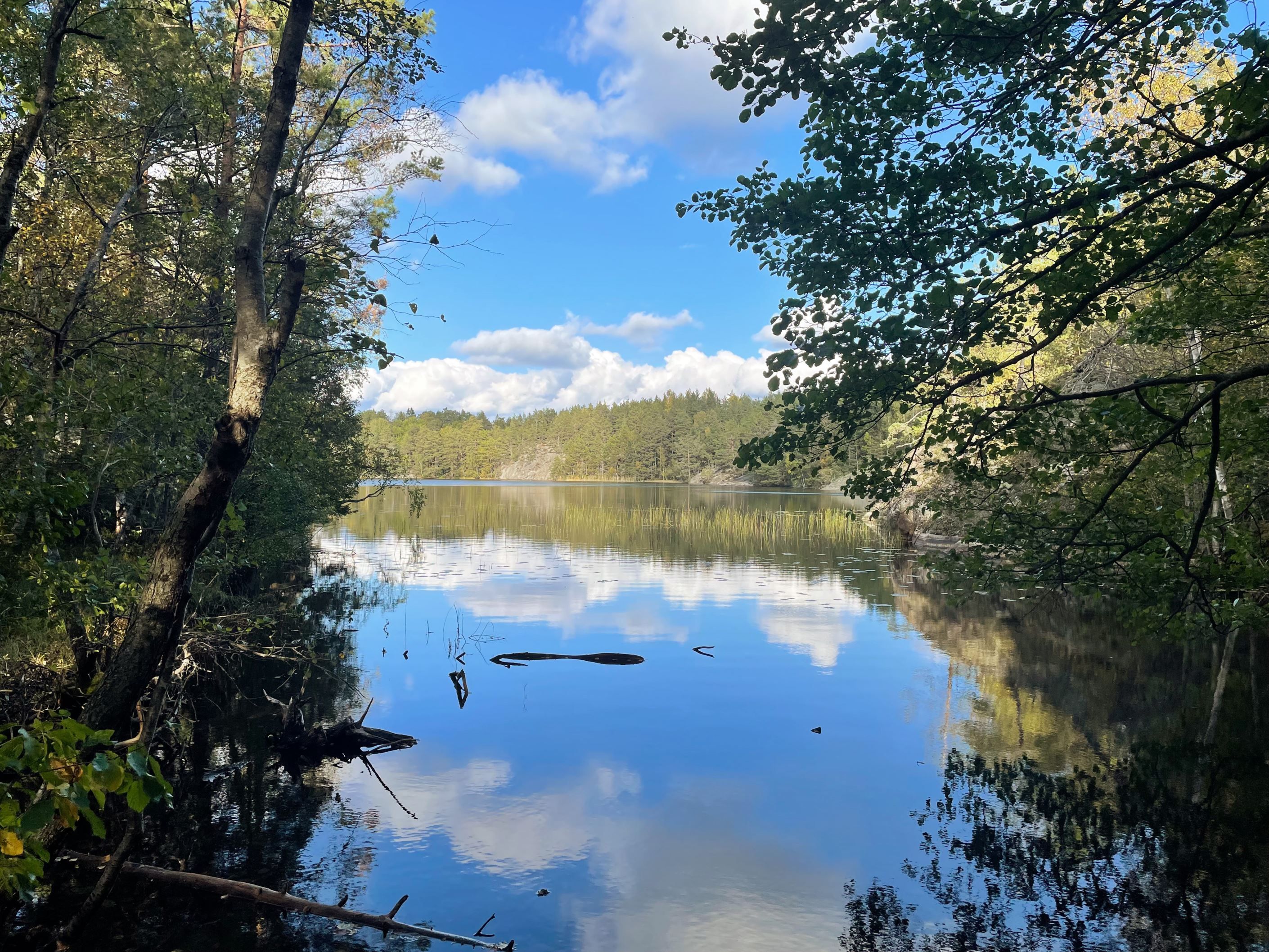 Lugnetträsket