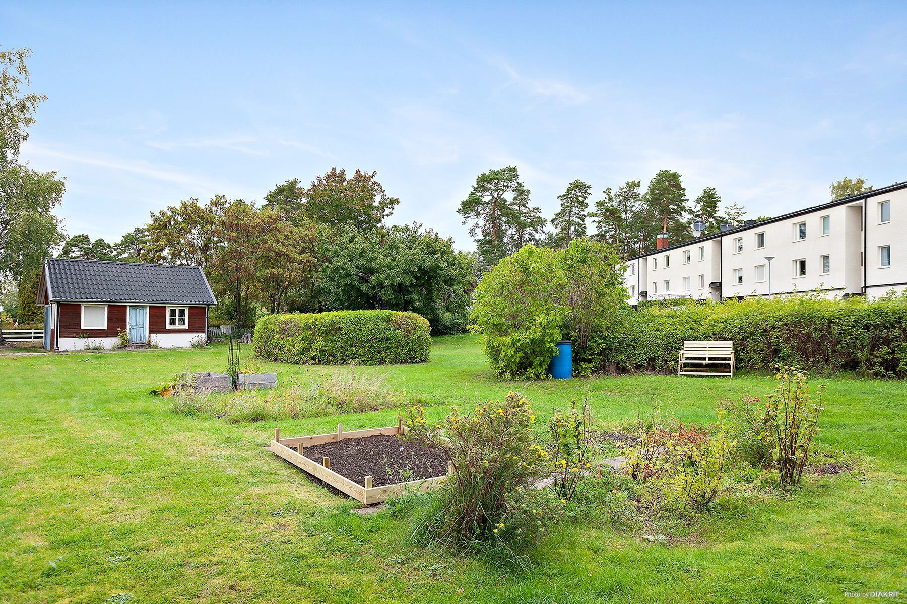 Föreningens gemensamma trädgård med odlingsmöjligheter