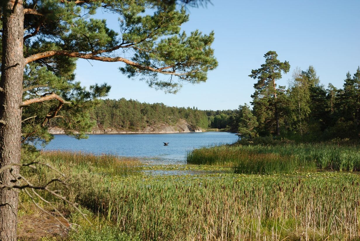 Ljumma Kvarnsjön med promenadstråk, badklippor och skridskoåkning på vintern