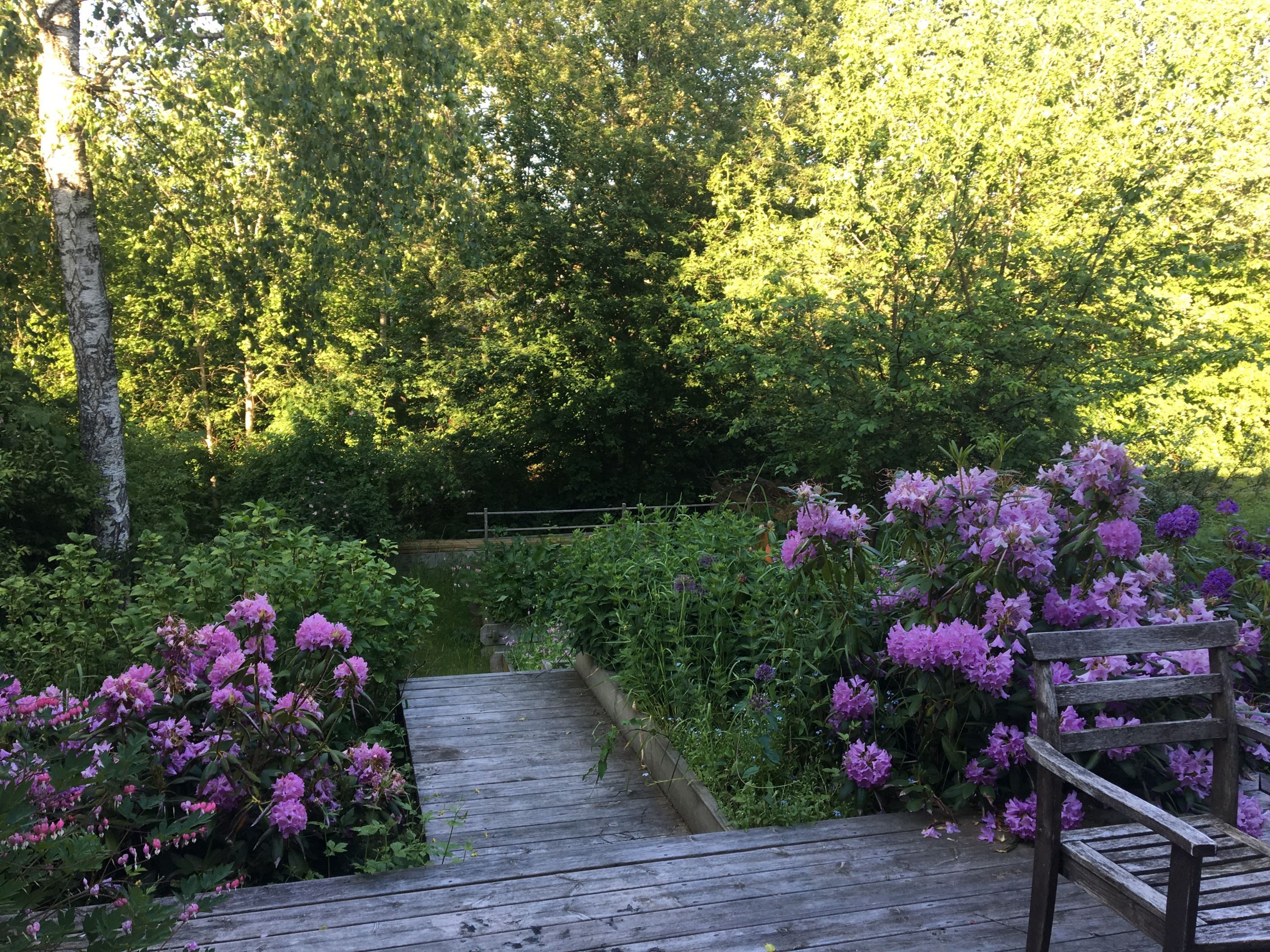 Säljarens sommarbilder