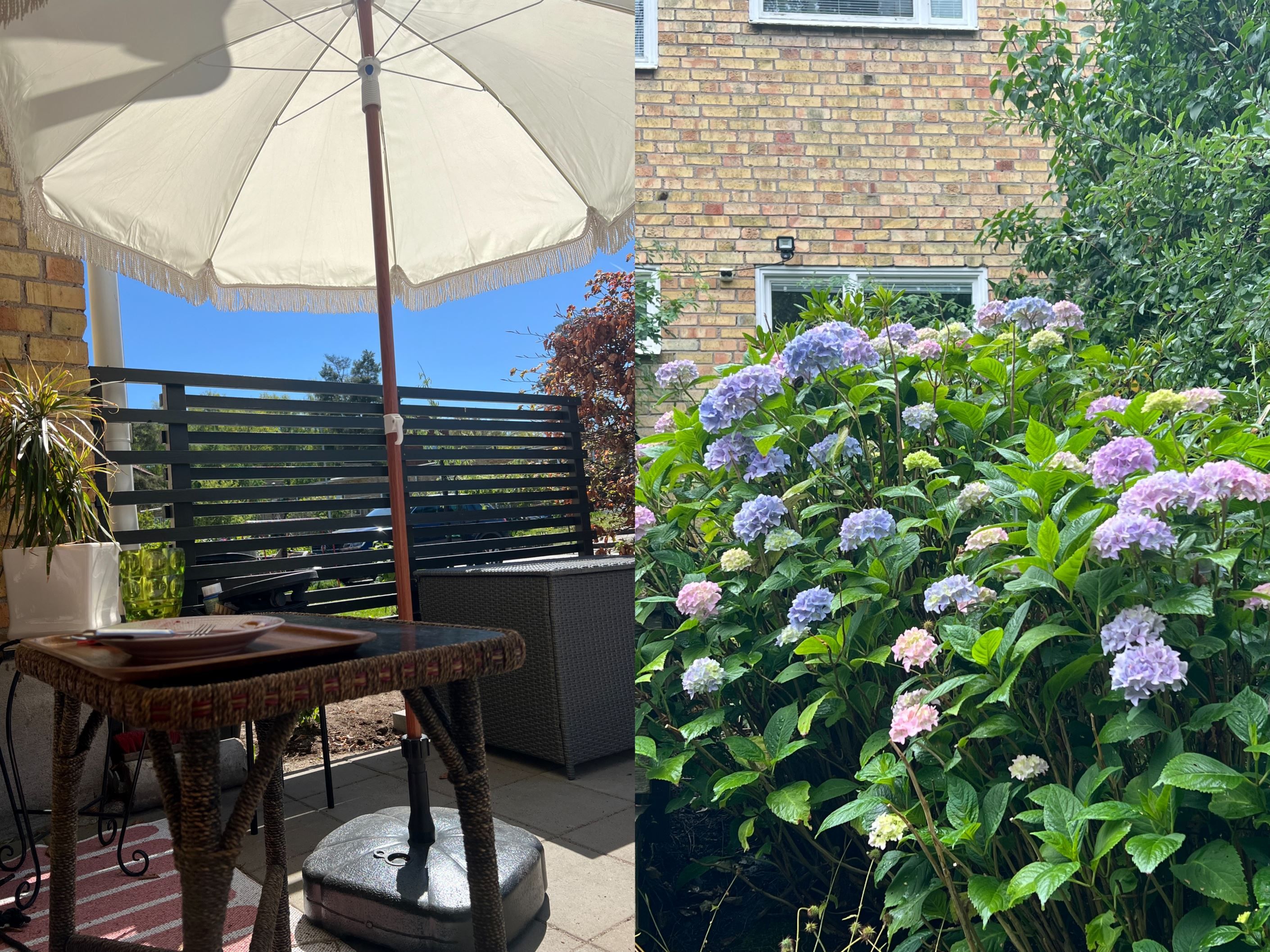 Säljarens sommarbild