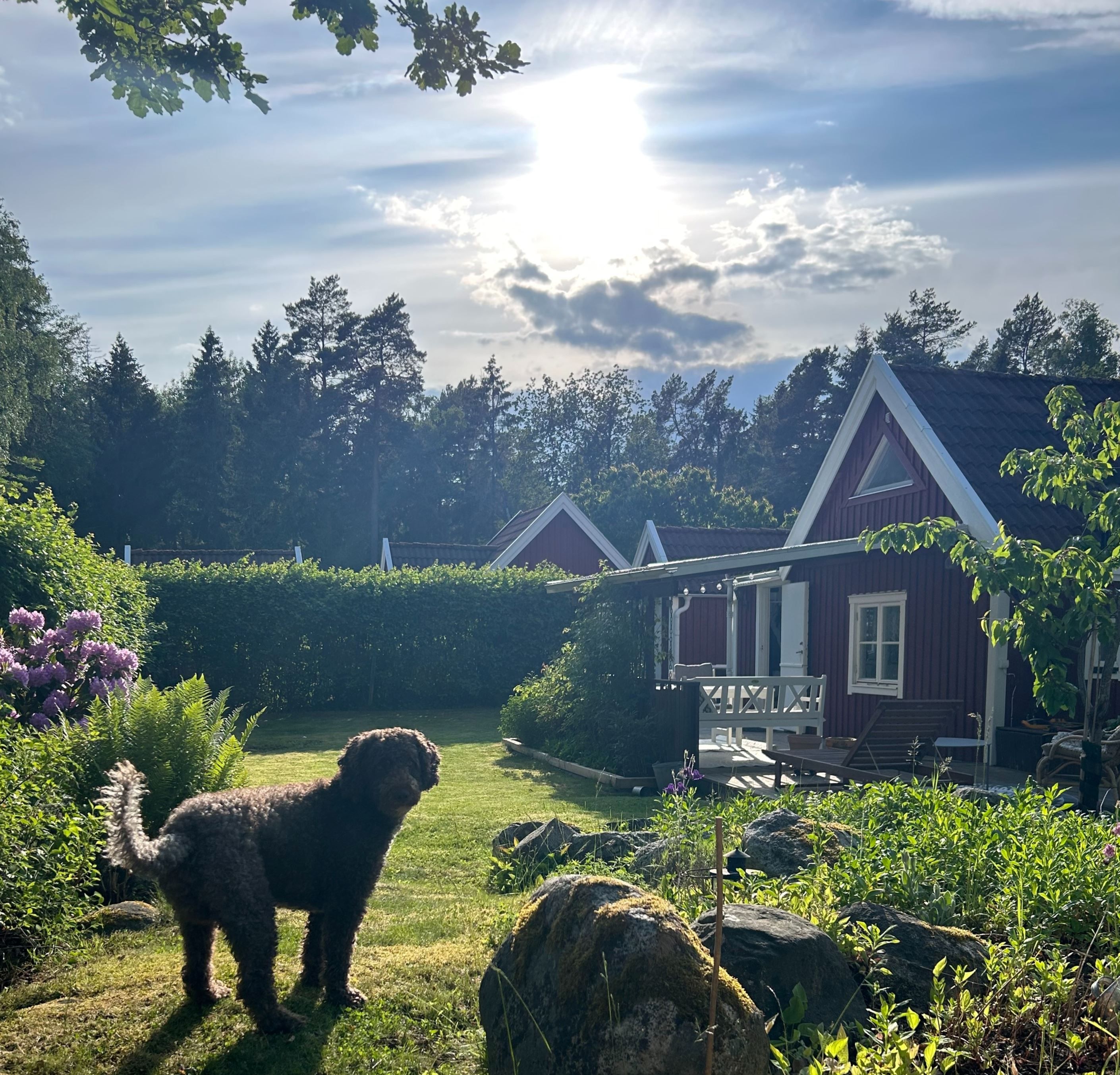 Säljarens sommarbild